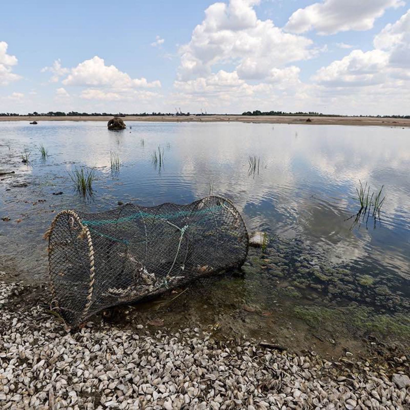 Ökozid in der Ukraine