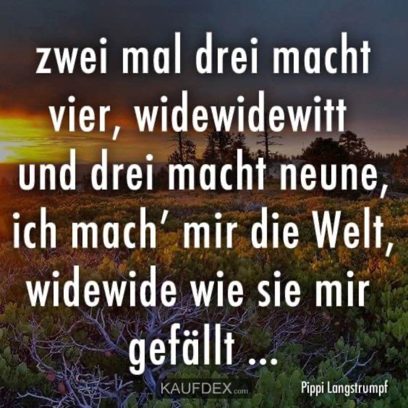 Ich mache mir die Welt so wie sie mir gefällt