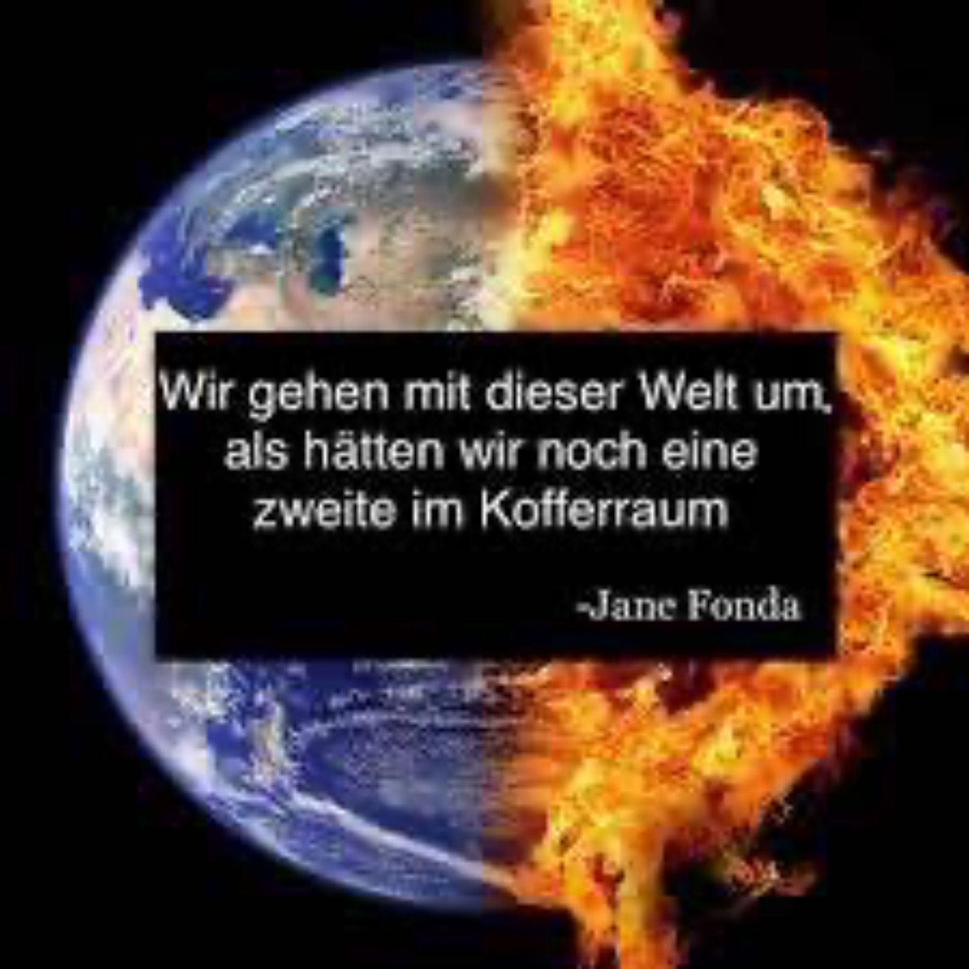 Trotzkraft und Sanftwut