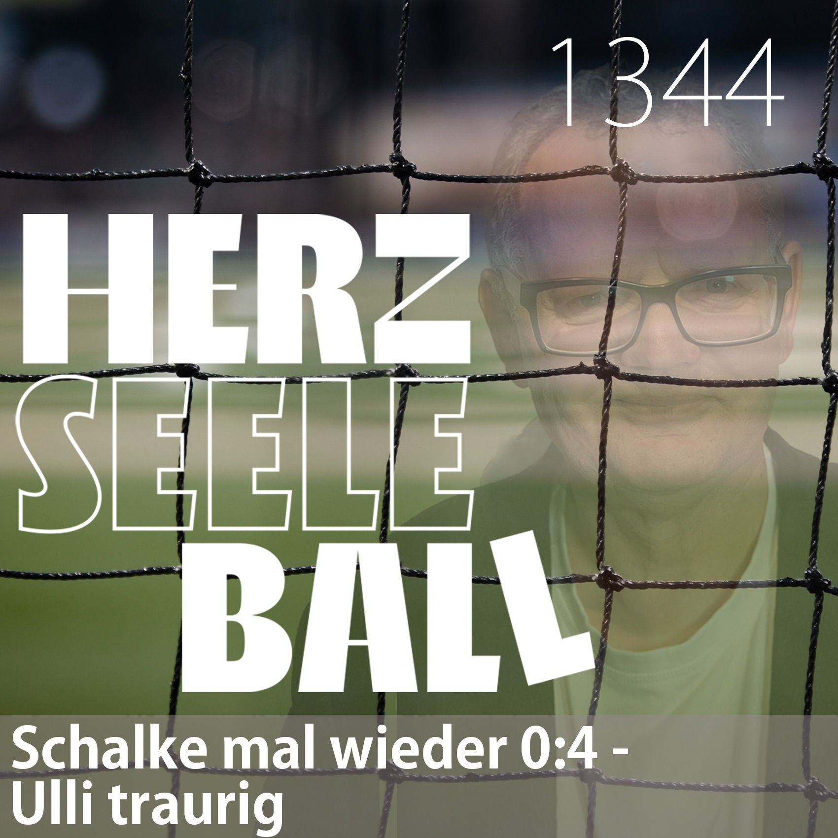 Herz • Seele • Ball • Folge 1344