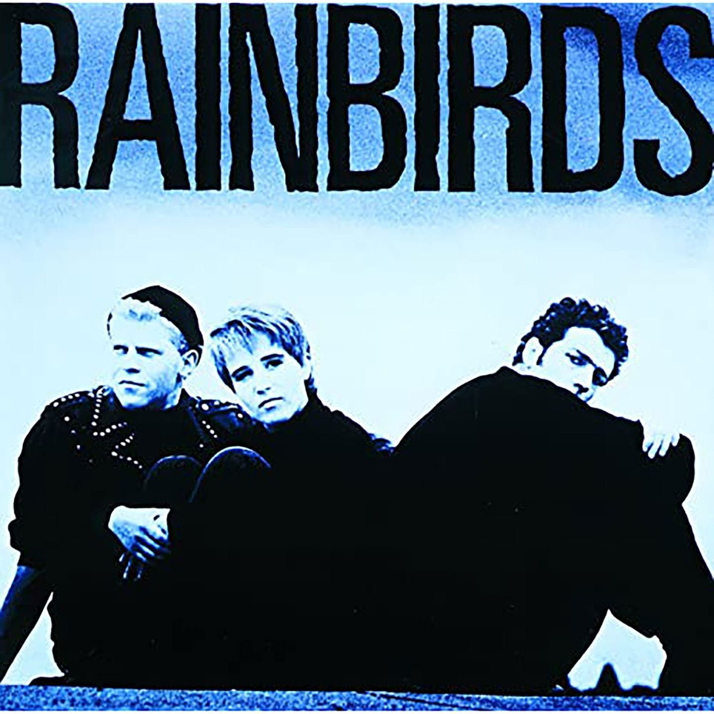 Blueprint – Rainbirds