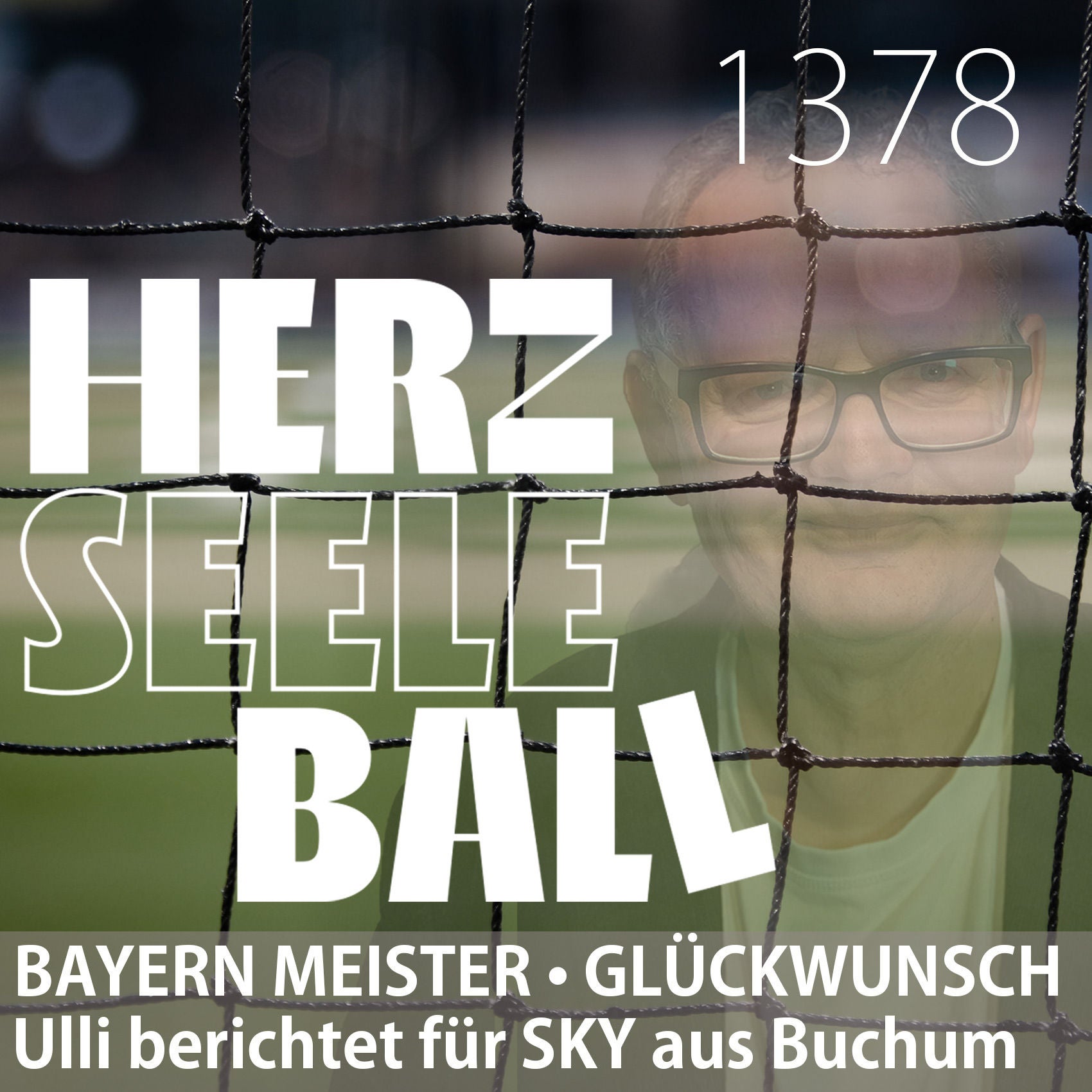 Herz • Seele • Ball • Folge 1378