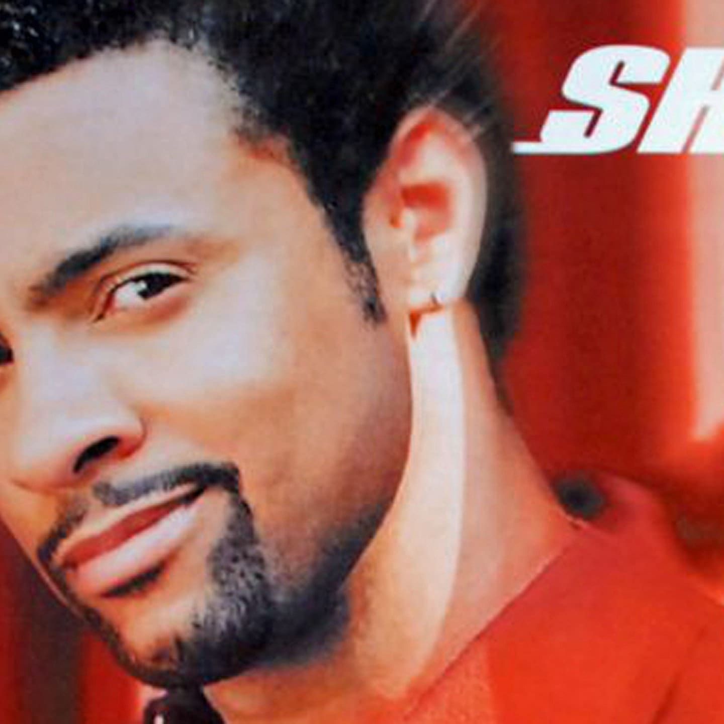 It Wasn't Me - Shaggy