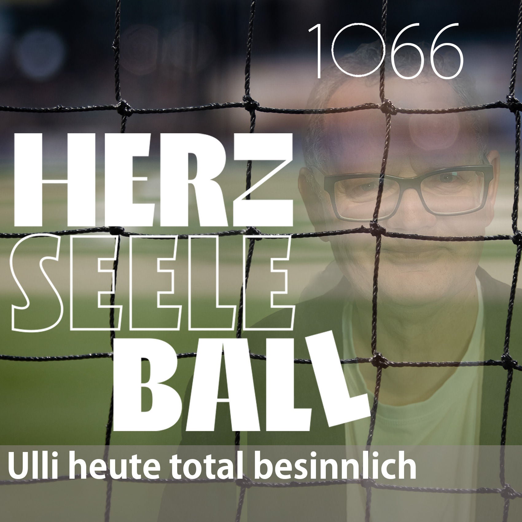 Herz • Seele • Ball • Folge 1066
