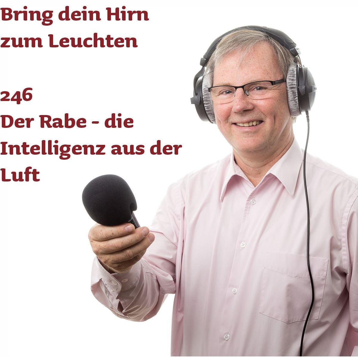 246 Der Rabe - die Intelligenz aus der Luft