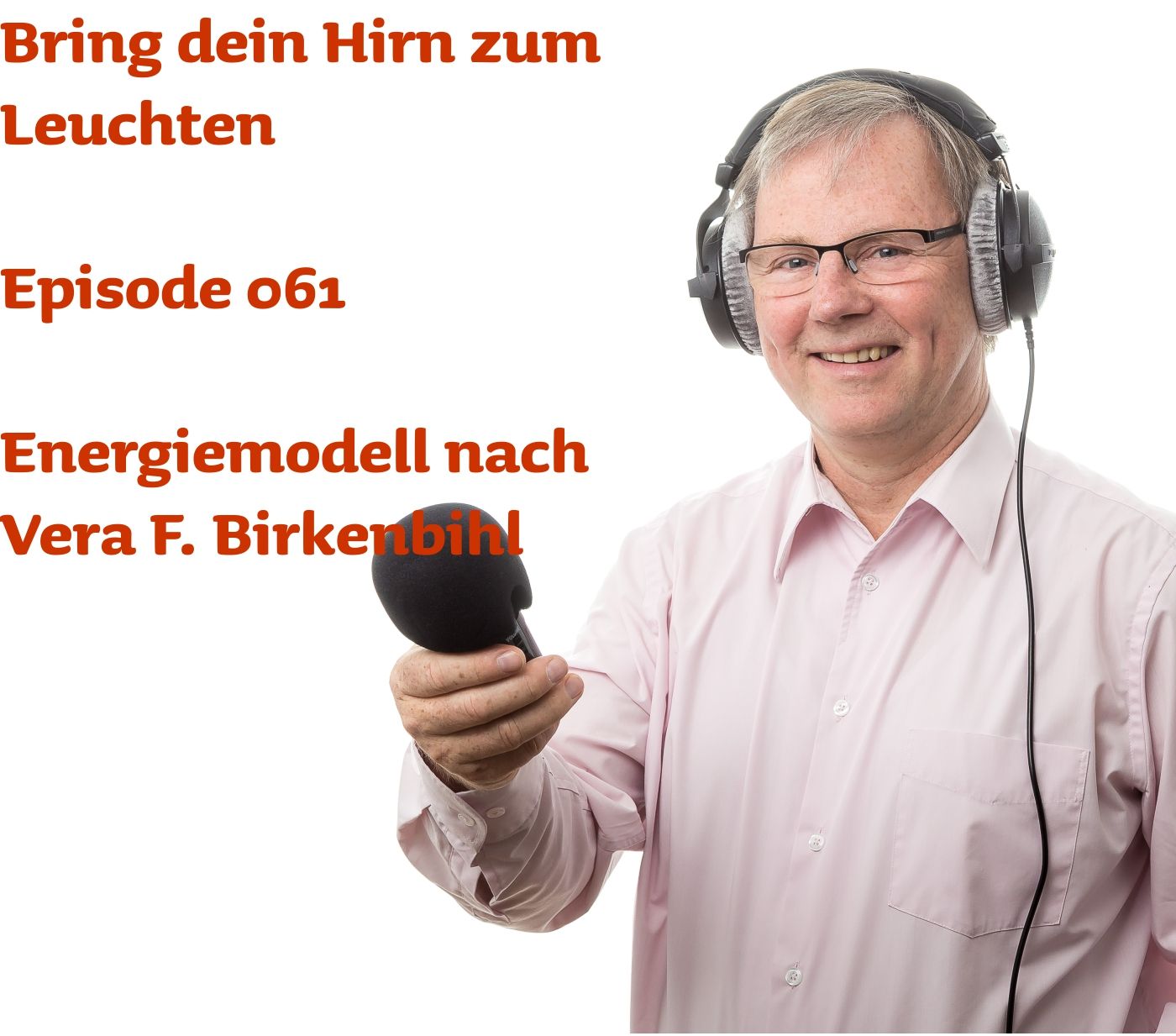061 Das Energiemodell nach Vera F. Birkenbihl