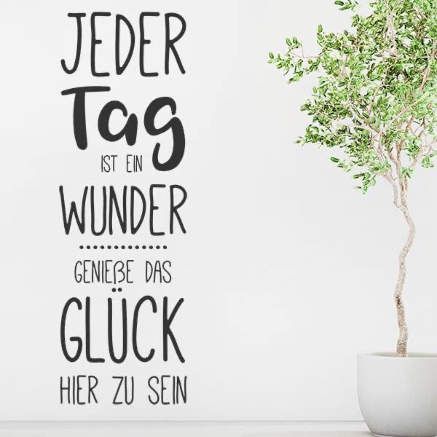 Wunder gibt es immer wieder