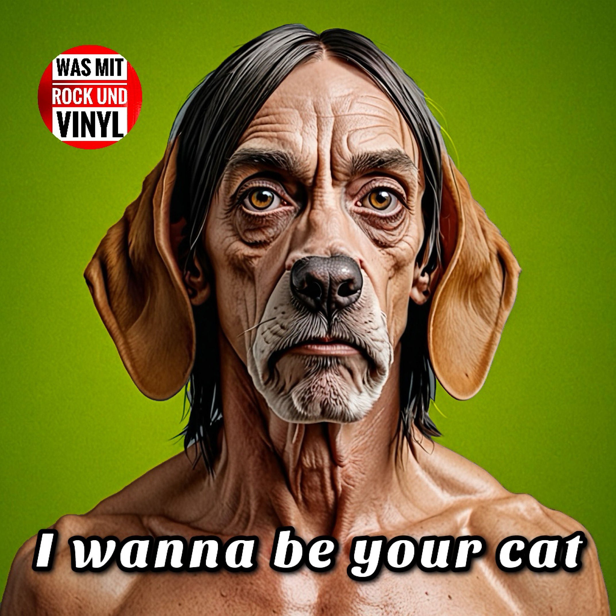 #136 Blood, guts and punk – Music the Stooges taught us