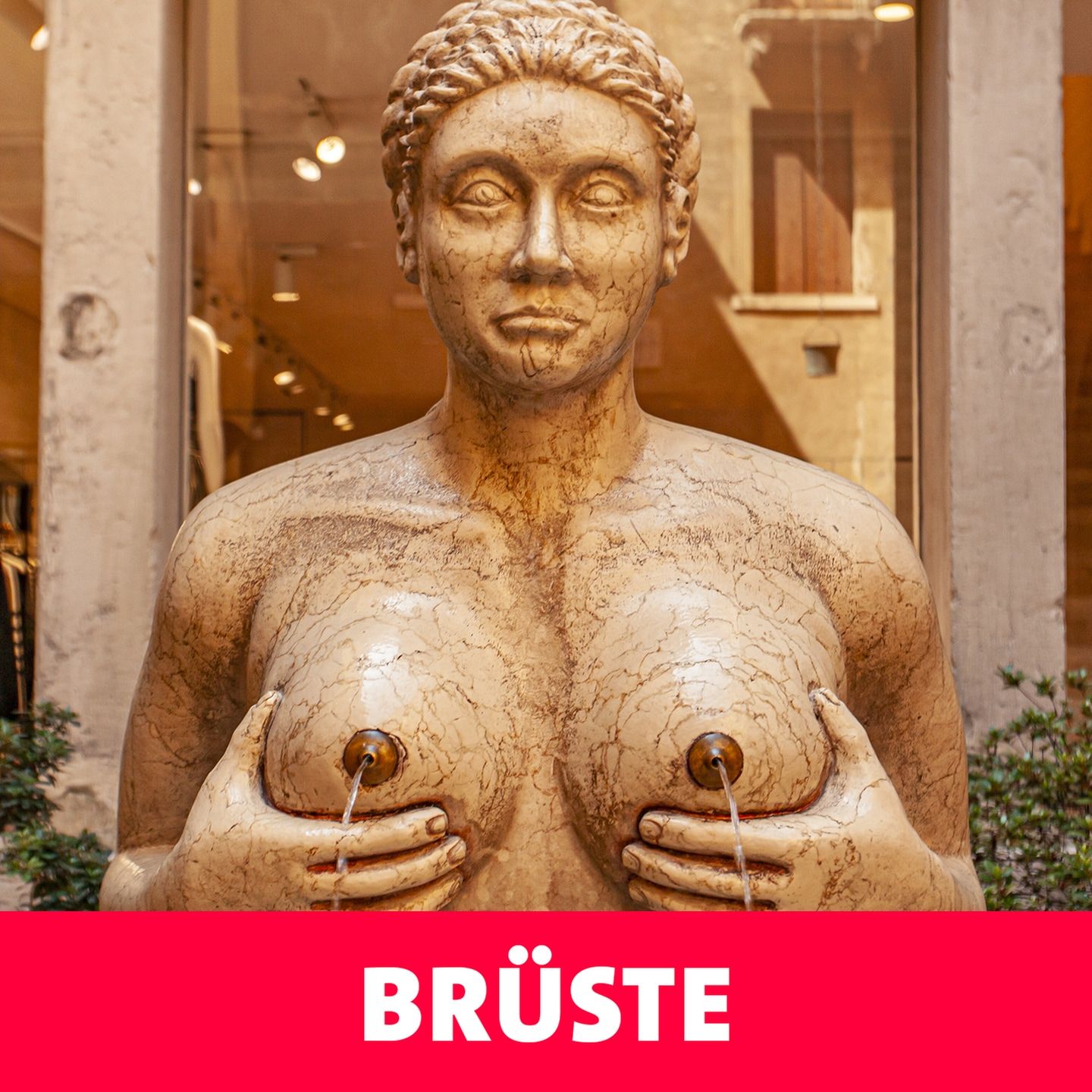 Brüste – jeder kennt sie, jeder mag sie.