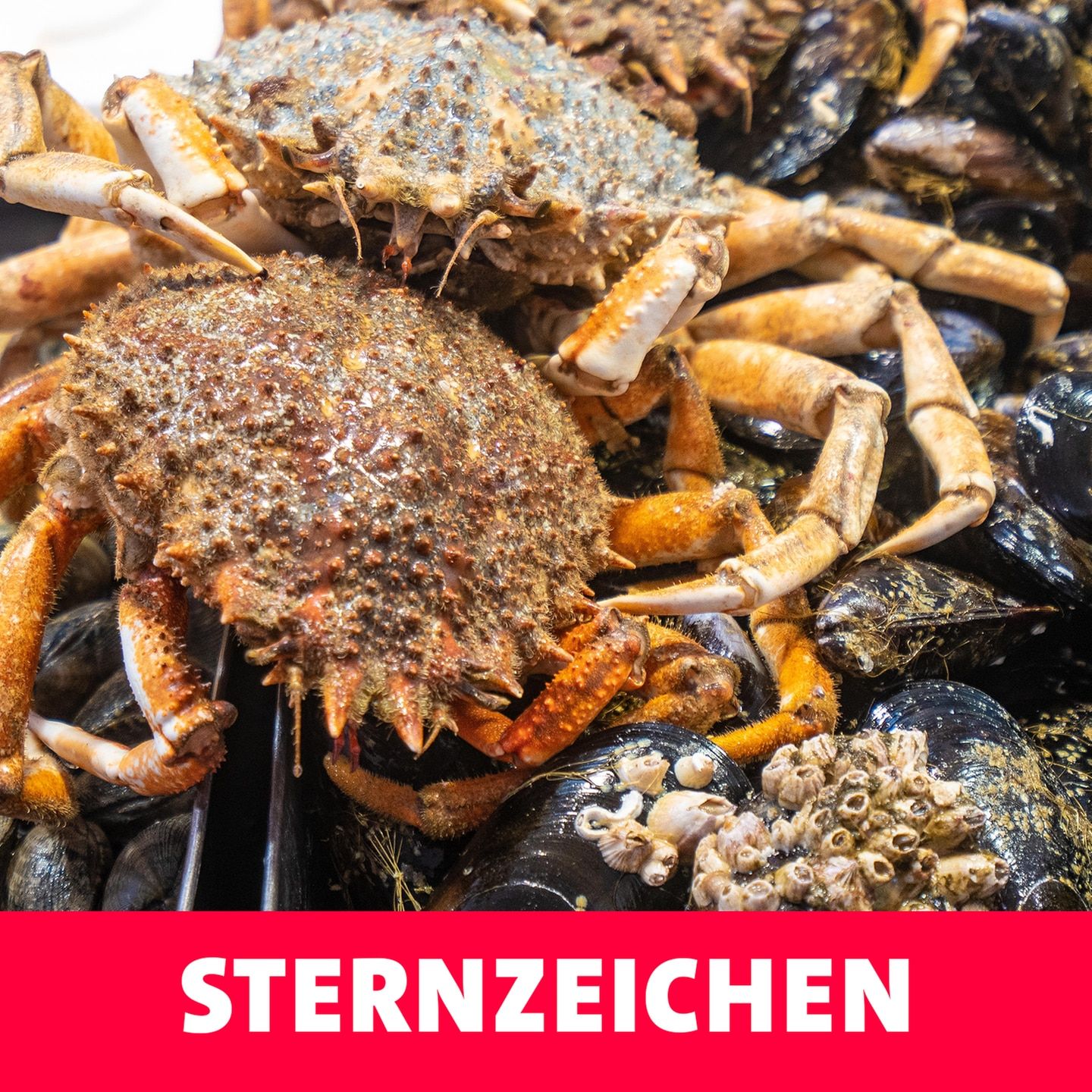 Sternzeichen – Astrologie