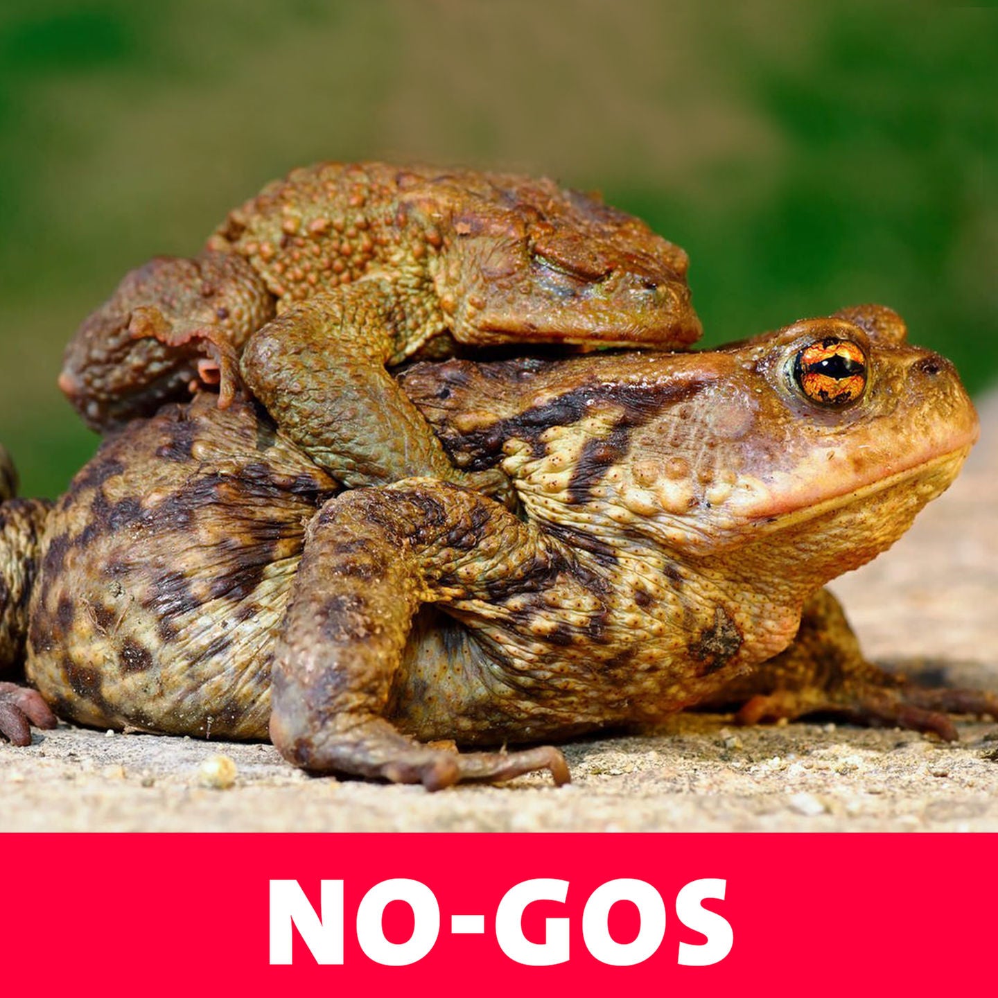 No-Gos – Nicht Geher beim Sex