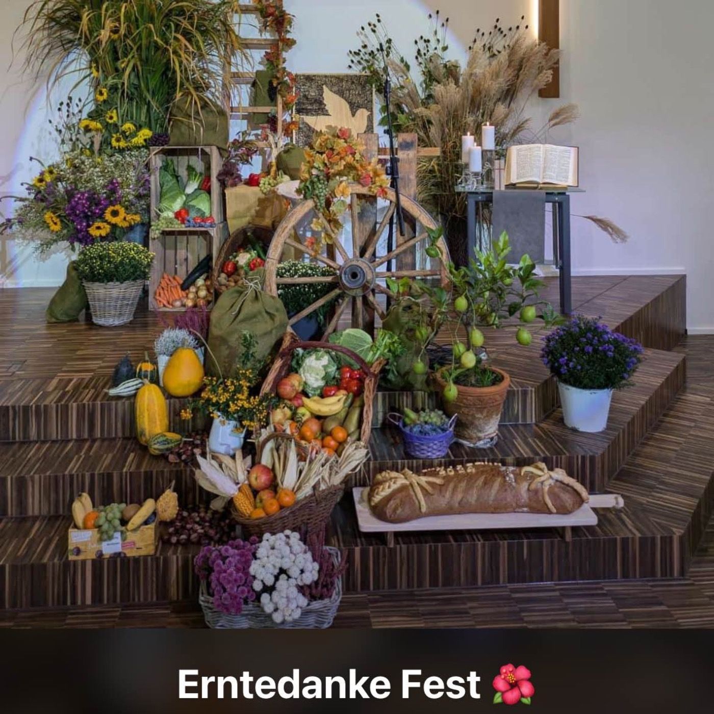 Danke danke danke