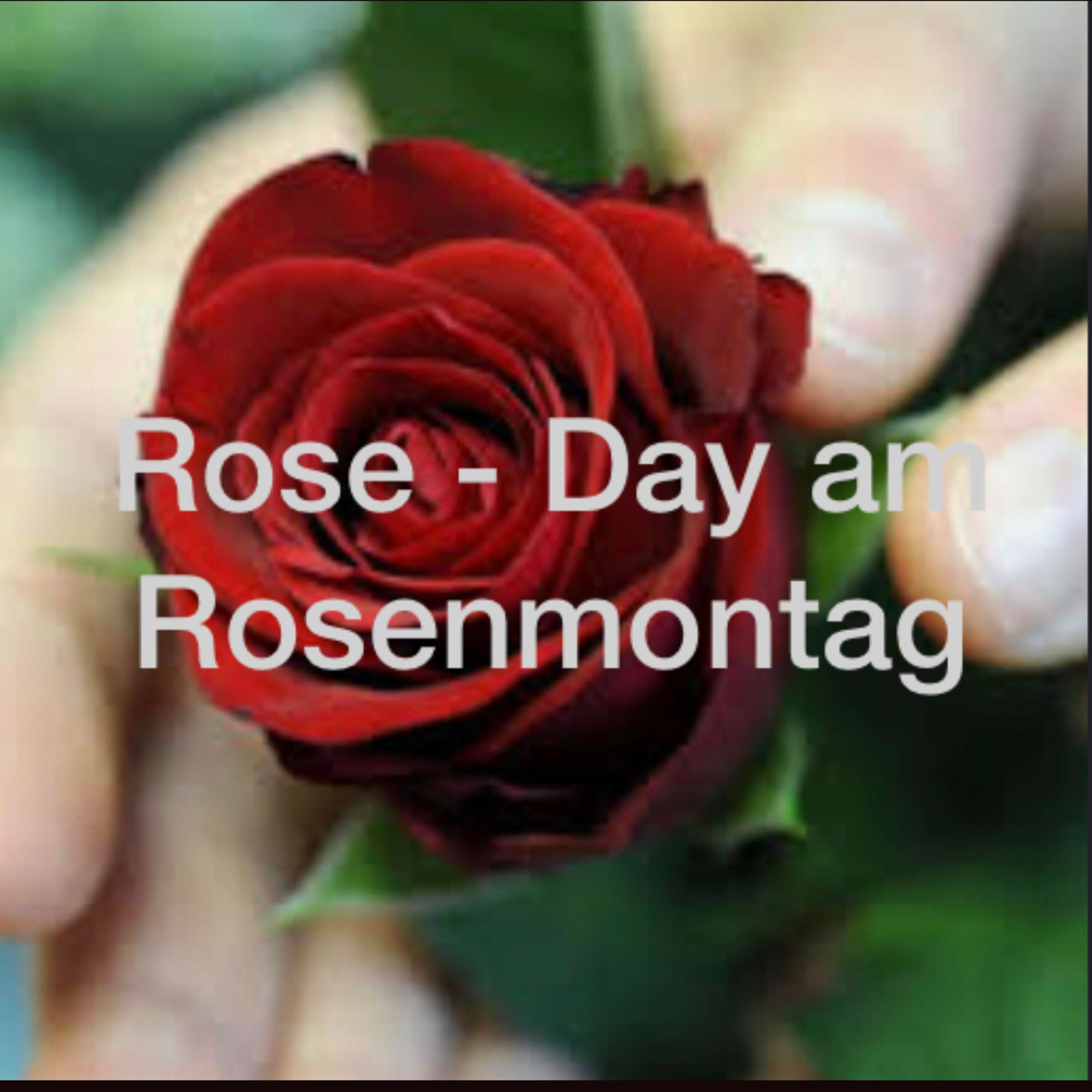 Fohlen Stammtisch (Rose-Day an Rosenmontag)