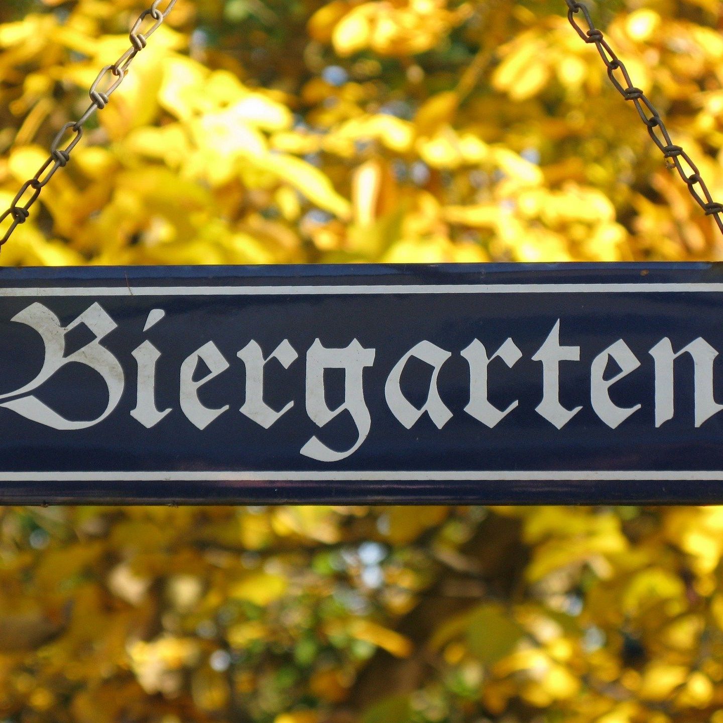Die Gastro-Szene hat die Schnauze voll!