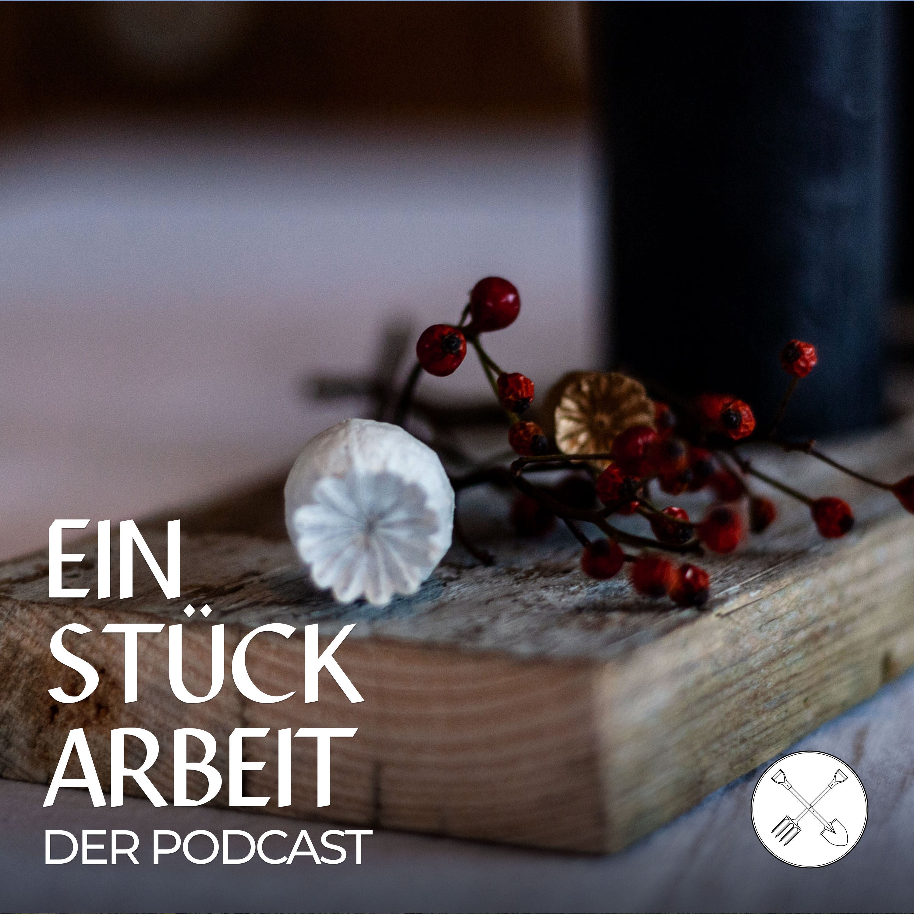 Nachhaltig durch den Advent 🎄