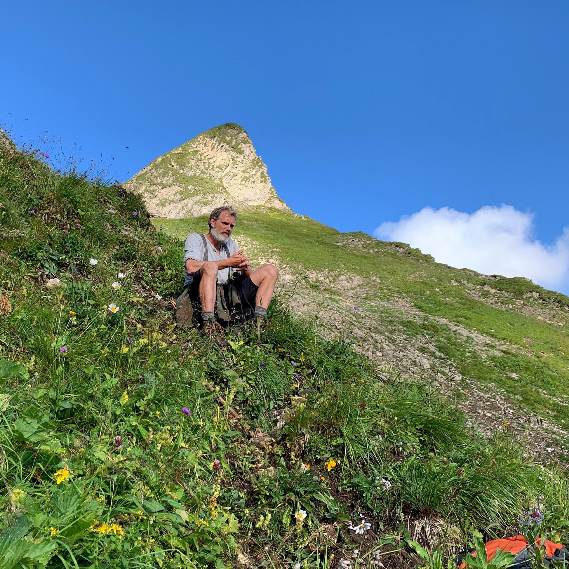 Streaming Tipp: Attraktion Allgäu – Seele des Südens