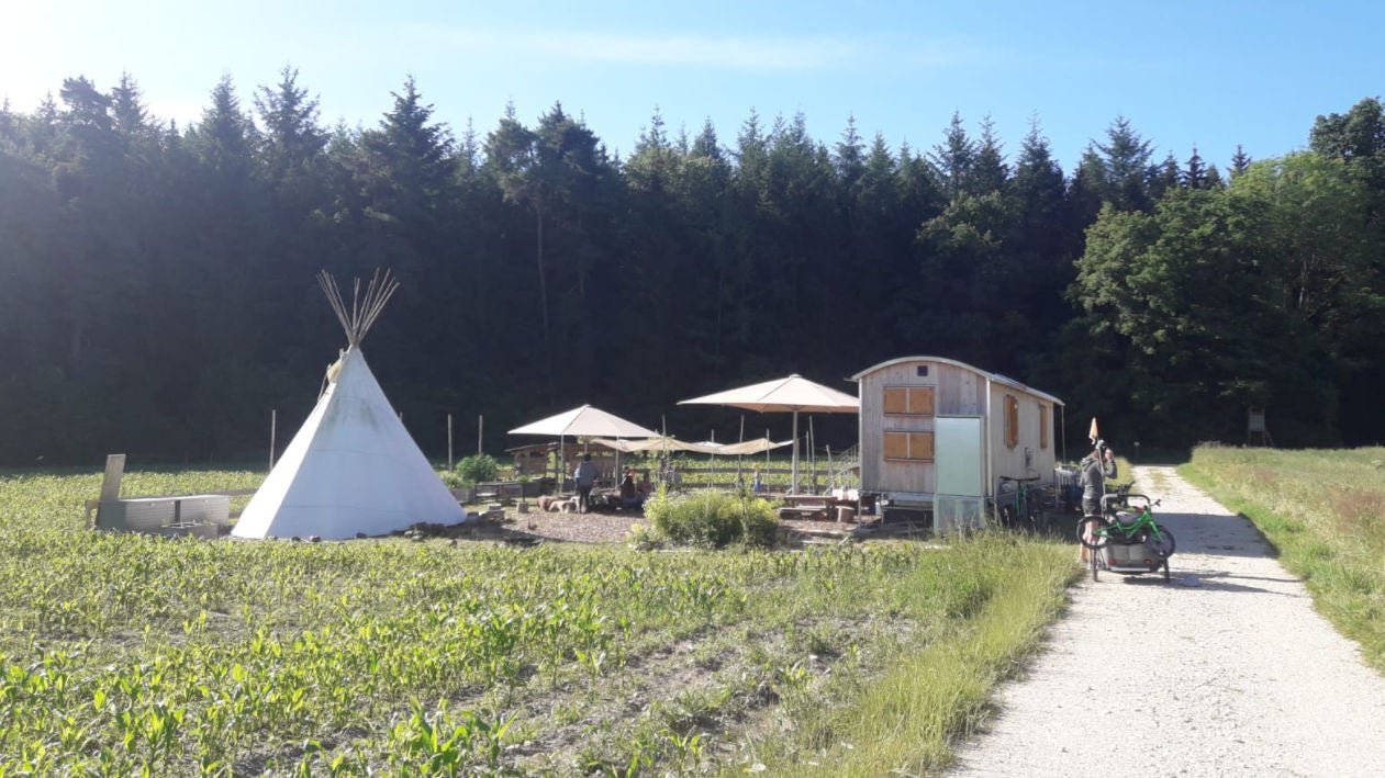 Waldkindergarten Biberach: Die Waldbiber brauchen Unterstützung!