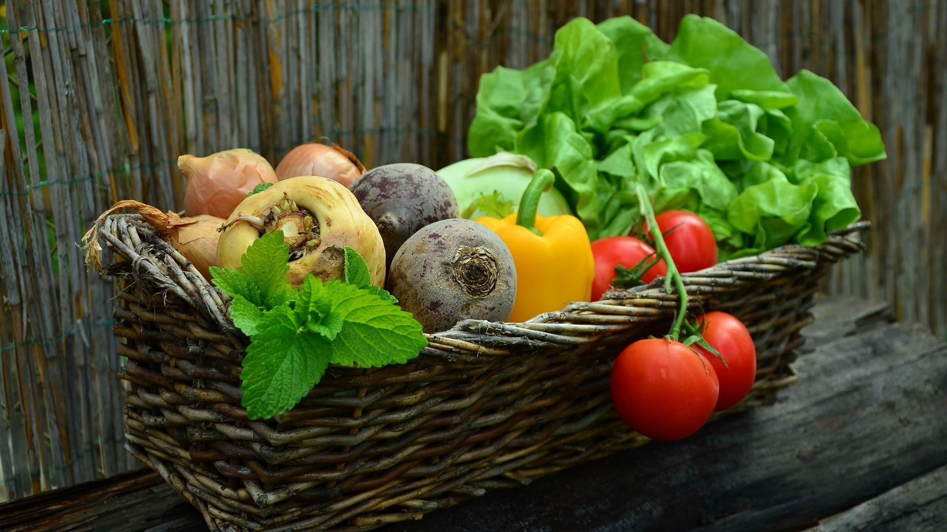 Containern legalisieren oder Foodsharing unterstützen?