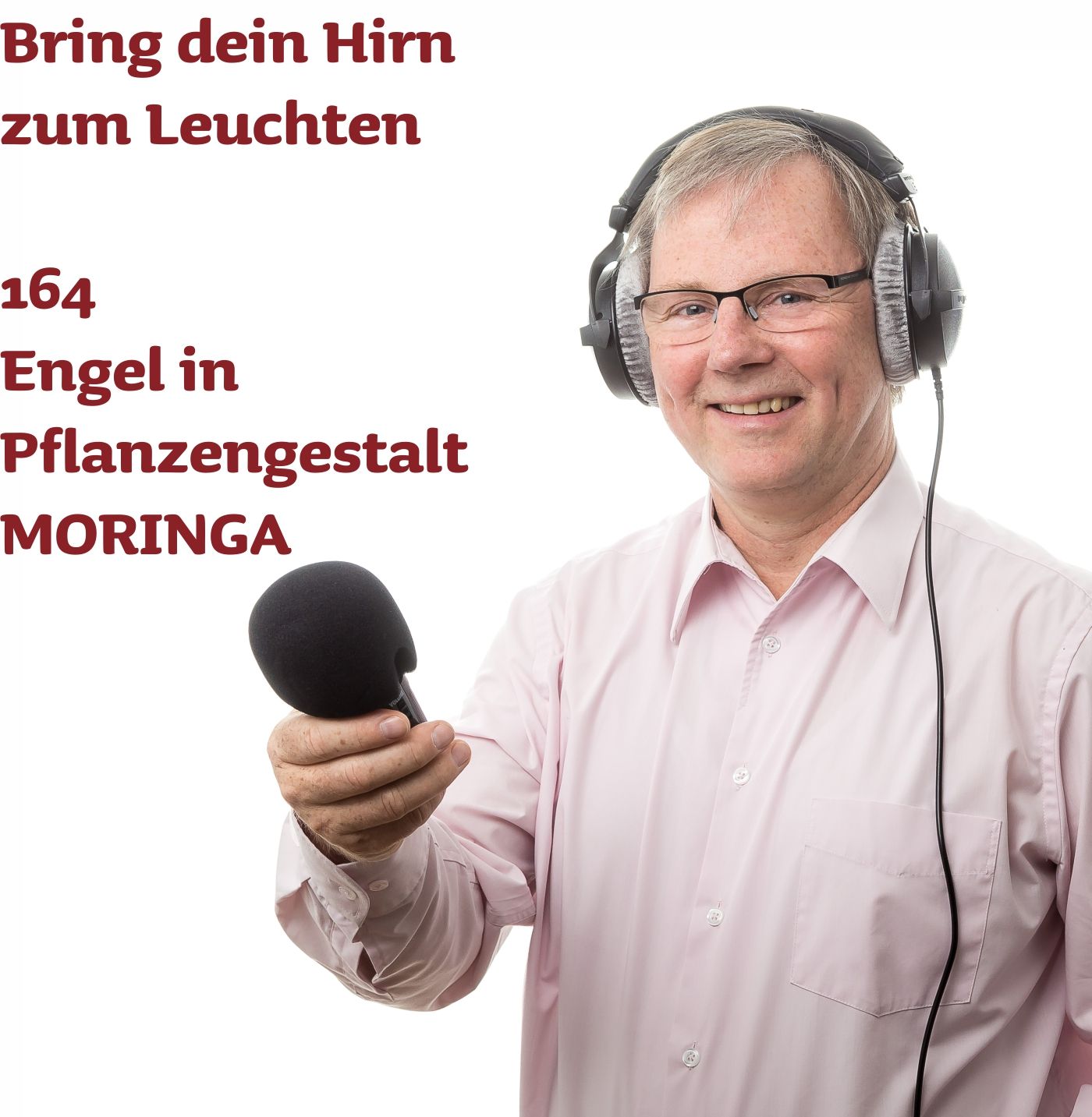 164 Engel in Pflanzengestalt MORINGA
