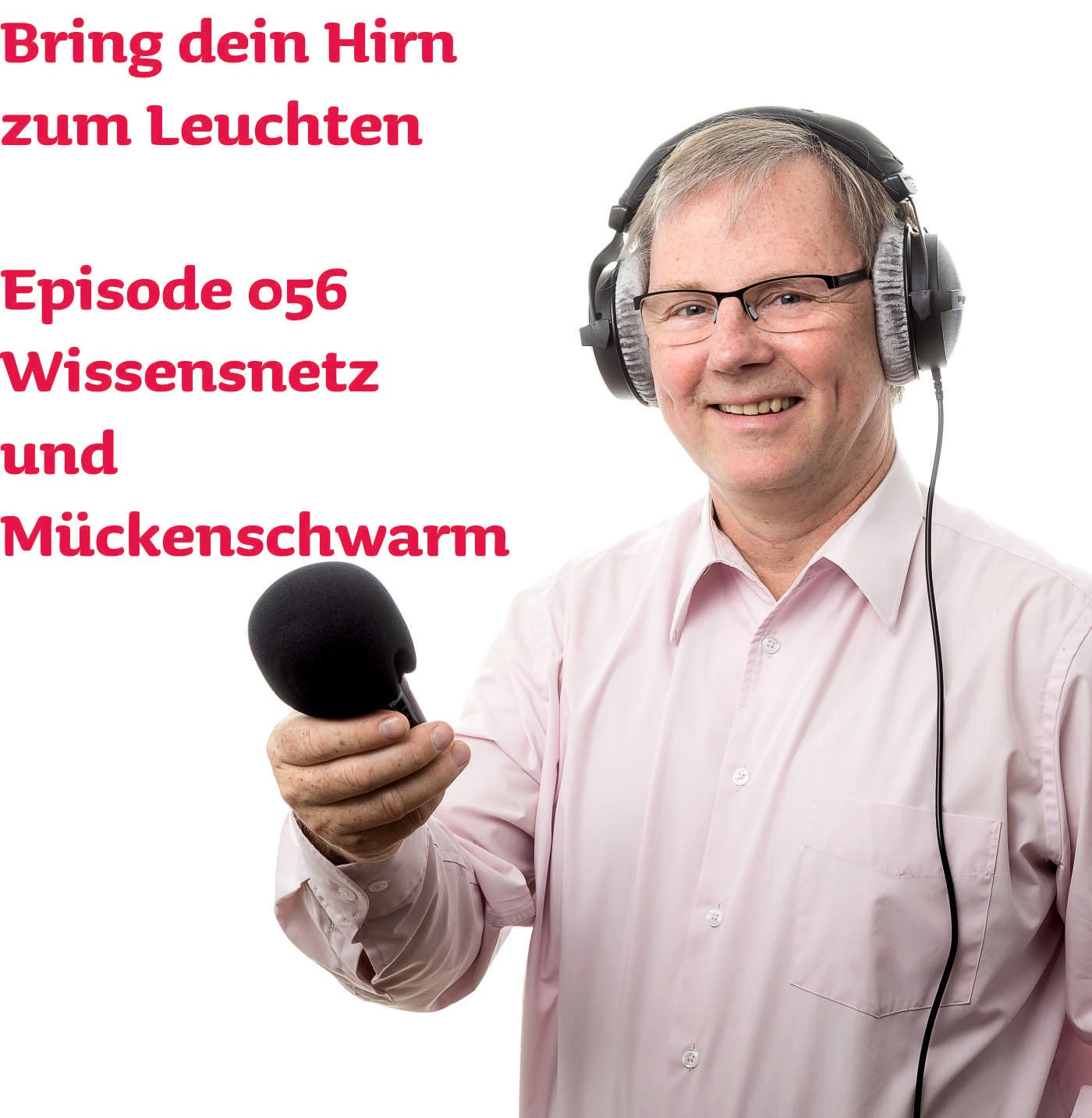 056 Wissensnetz und Mückenschwarm