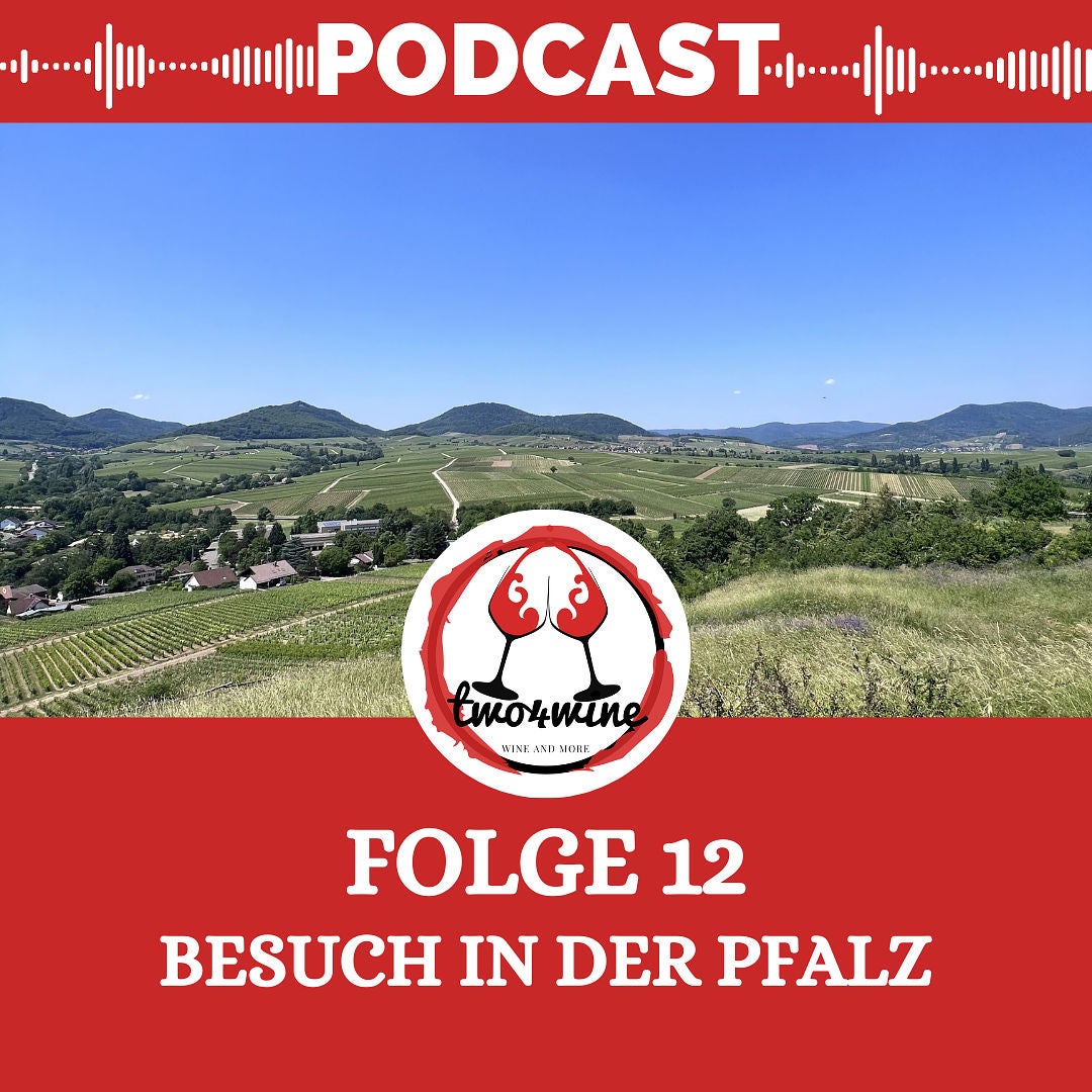 Folge 12 - Besuch in der Pfalz