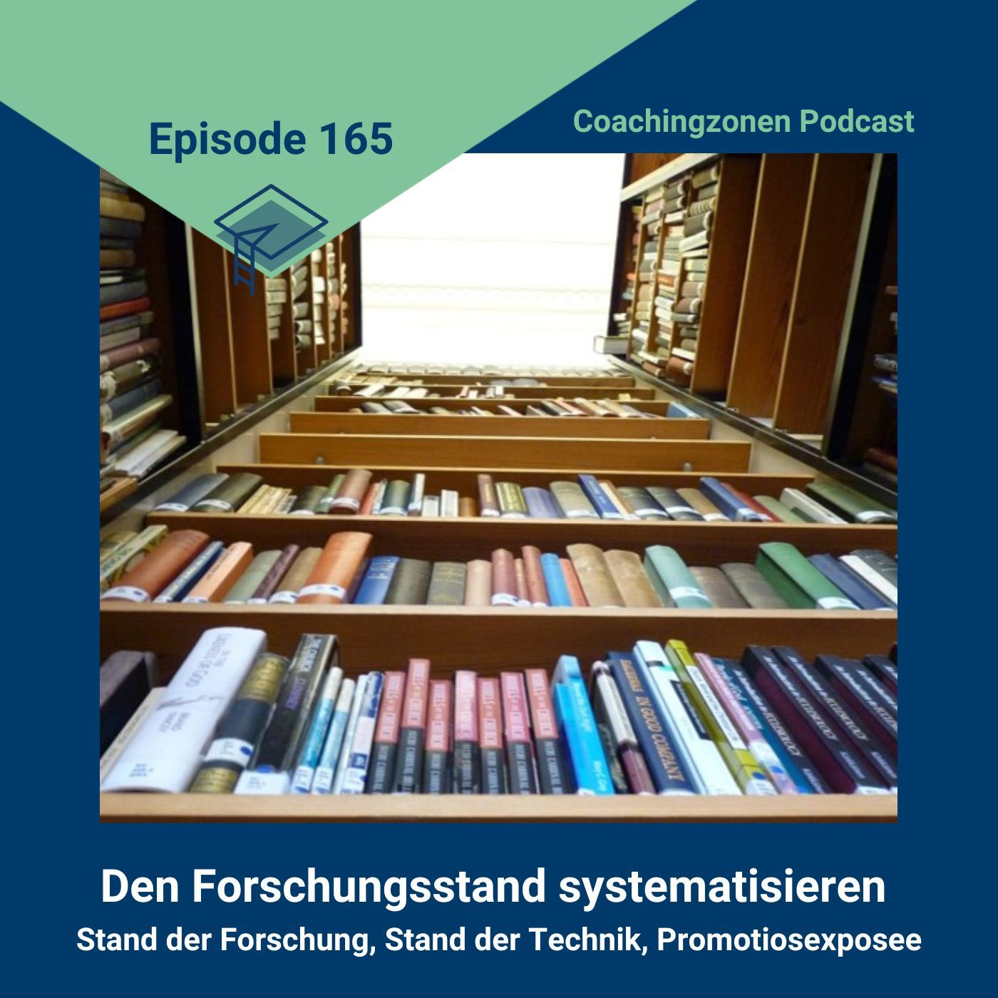 165_Den Forschungsstand systematisieren