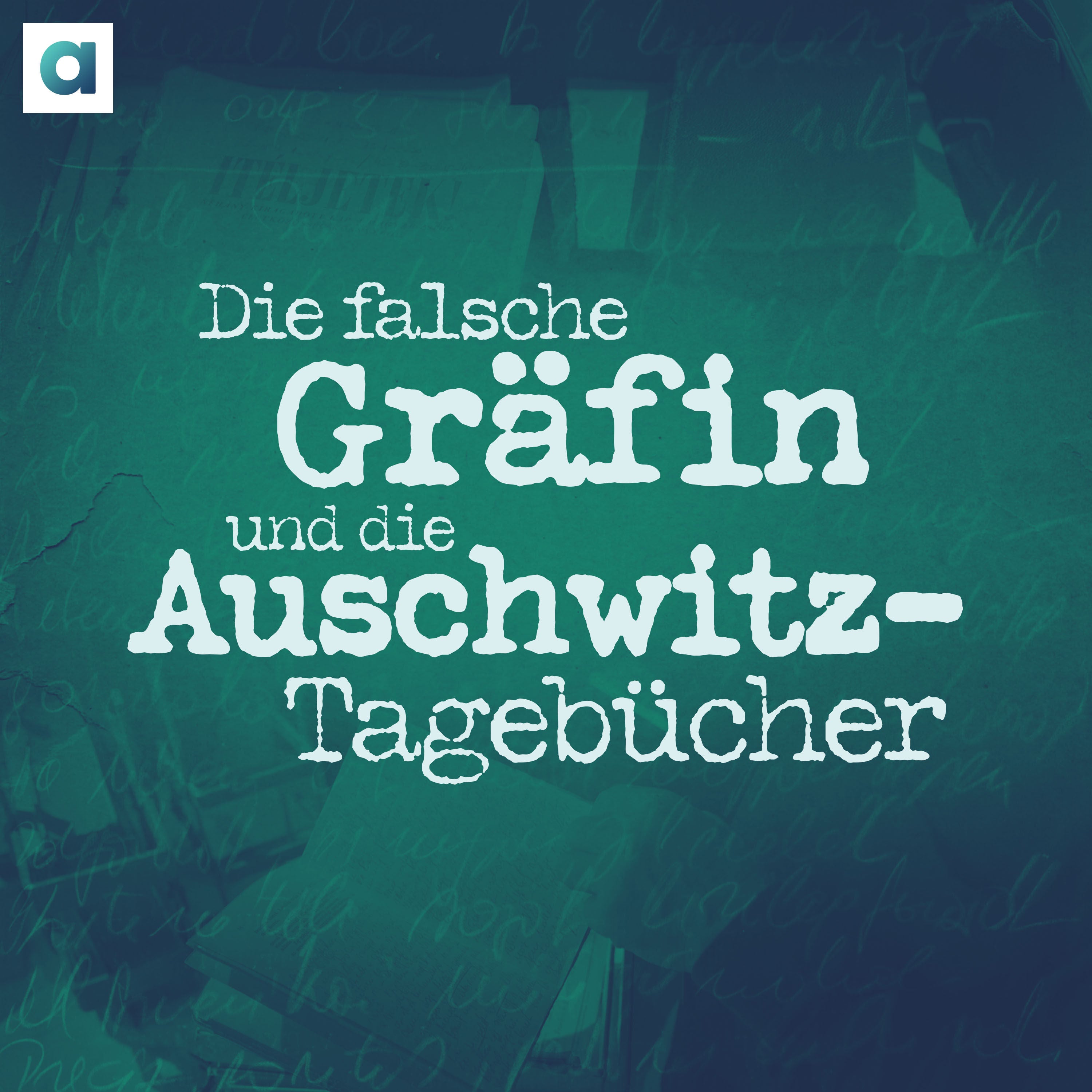 #1 Das Angebot