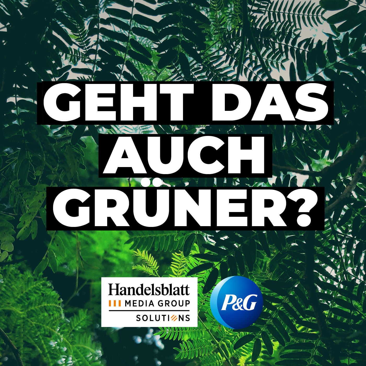 Fasern statt Plastik: Was können die neuen Verpackungen?