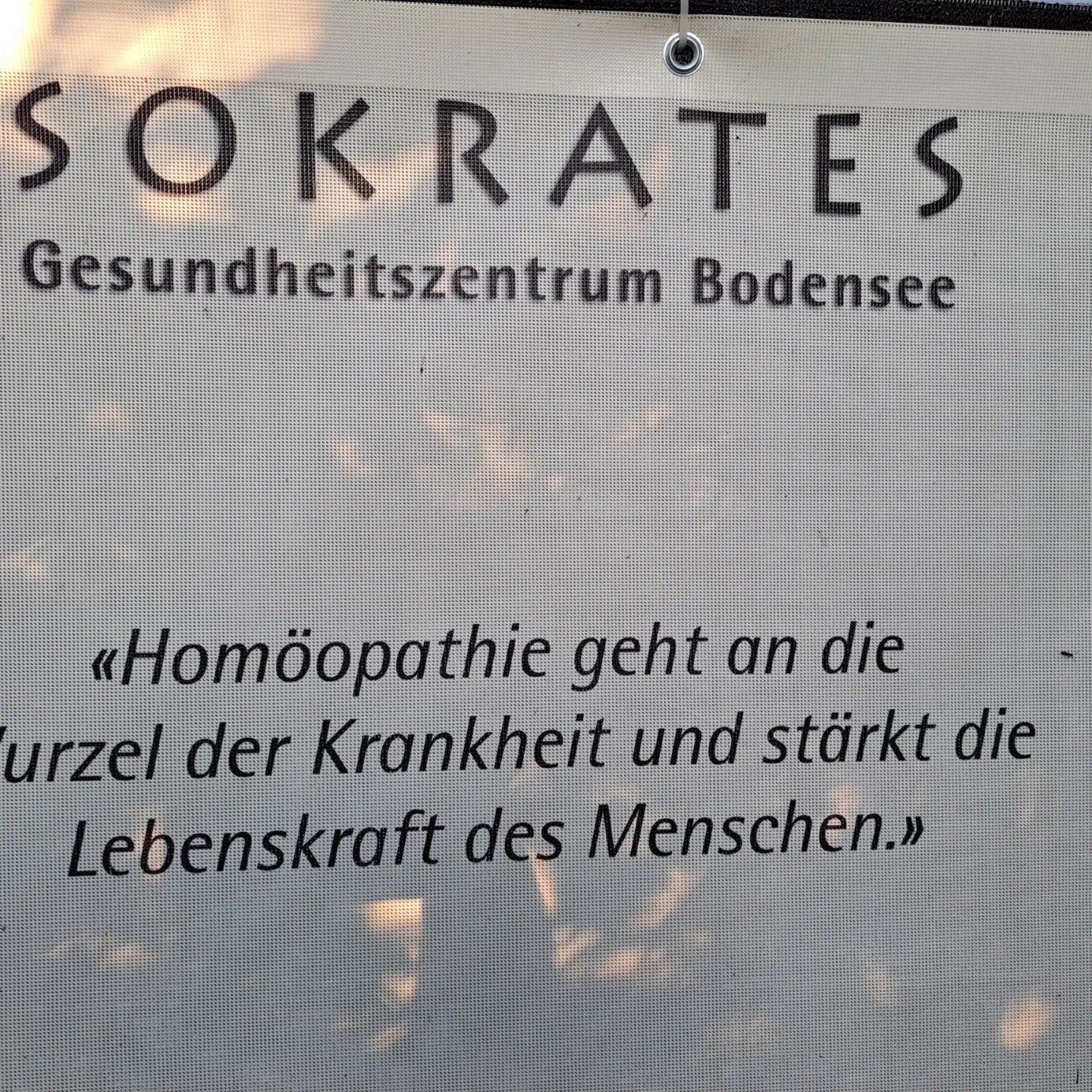 Sokrates II Liebe zur Homöopathie