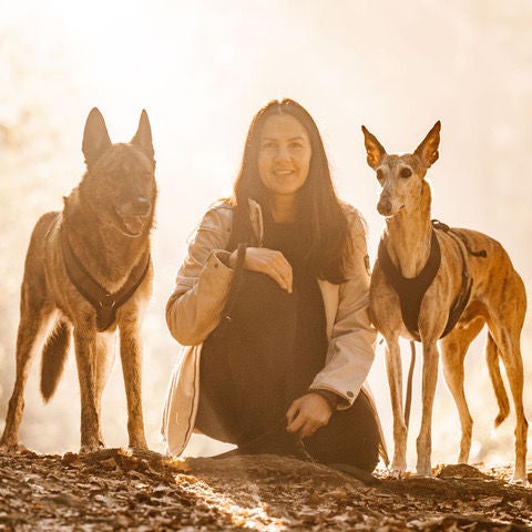 Heilhindernisse bei Hunden in der Tierhomöopathie erkennen.