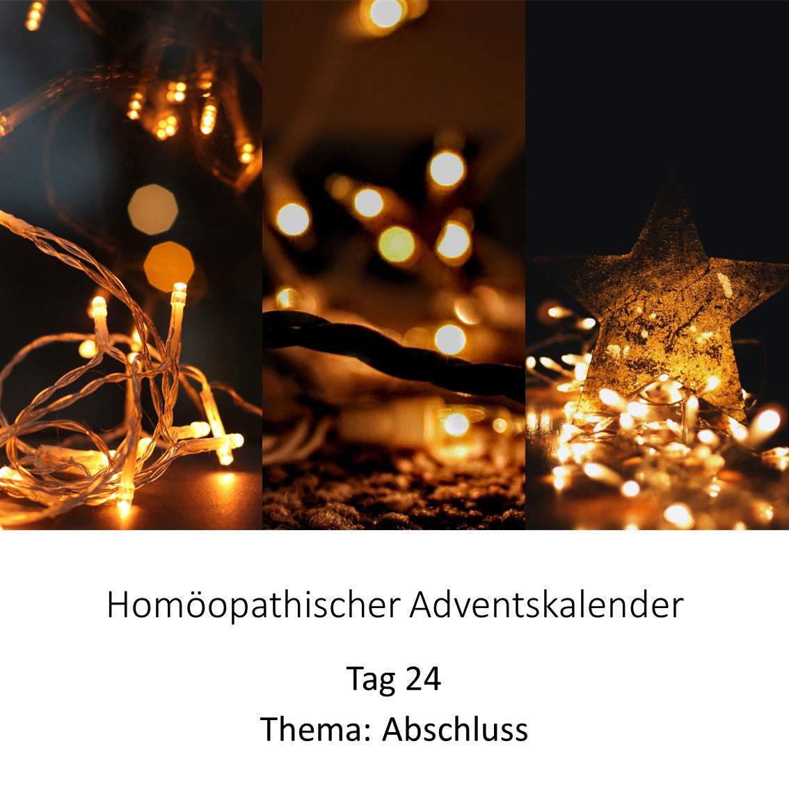 Türchen 24 Abschluss