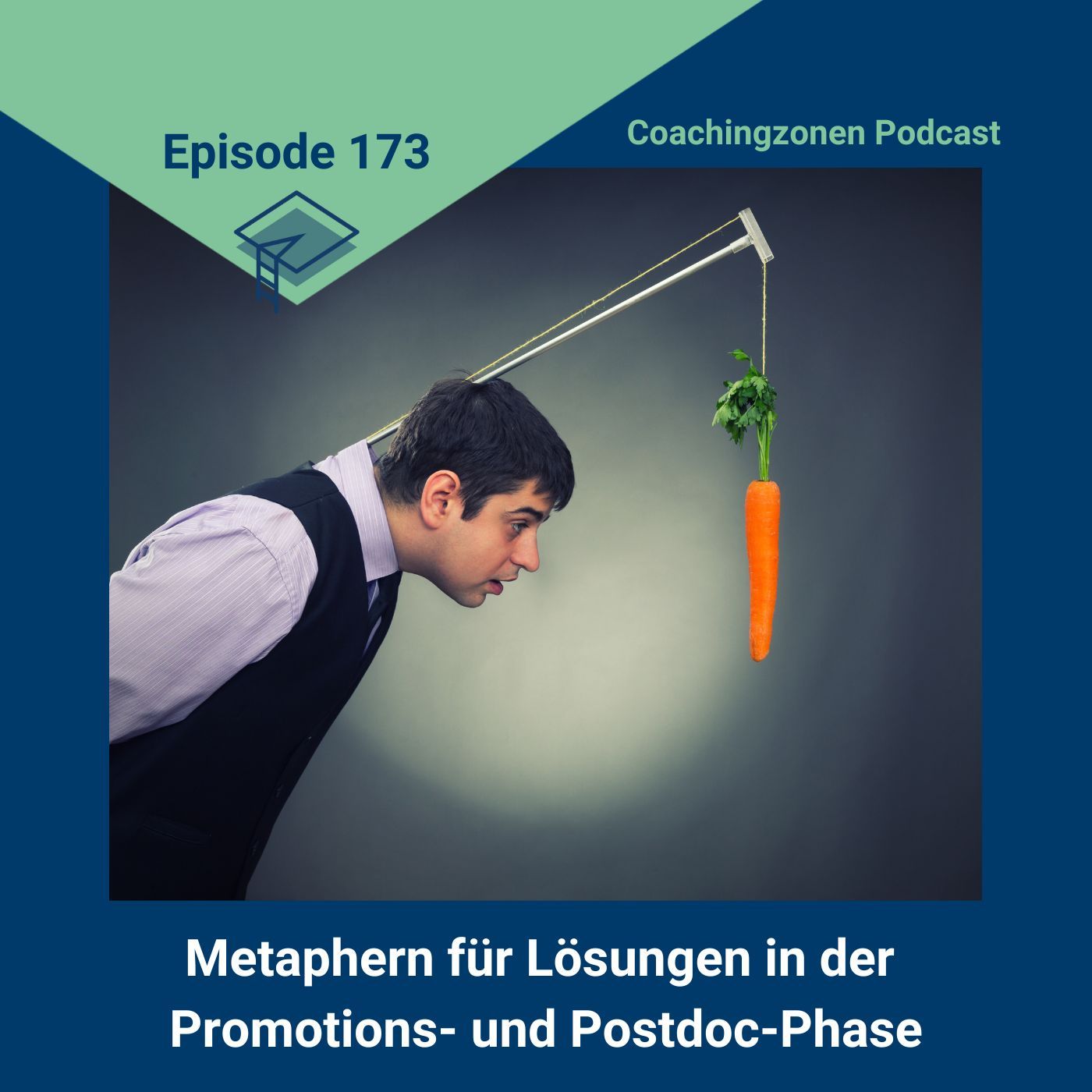 173_Metaphern für Lösungen in der Promotions- und Postdoc-Phase