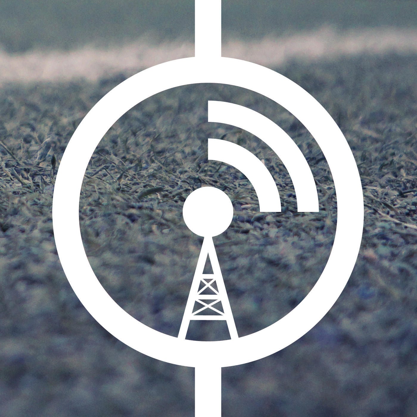 33. Spieltag: Hütchenzieher