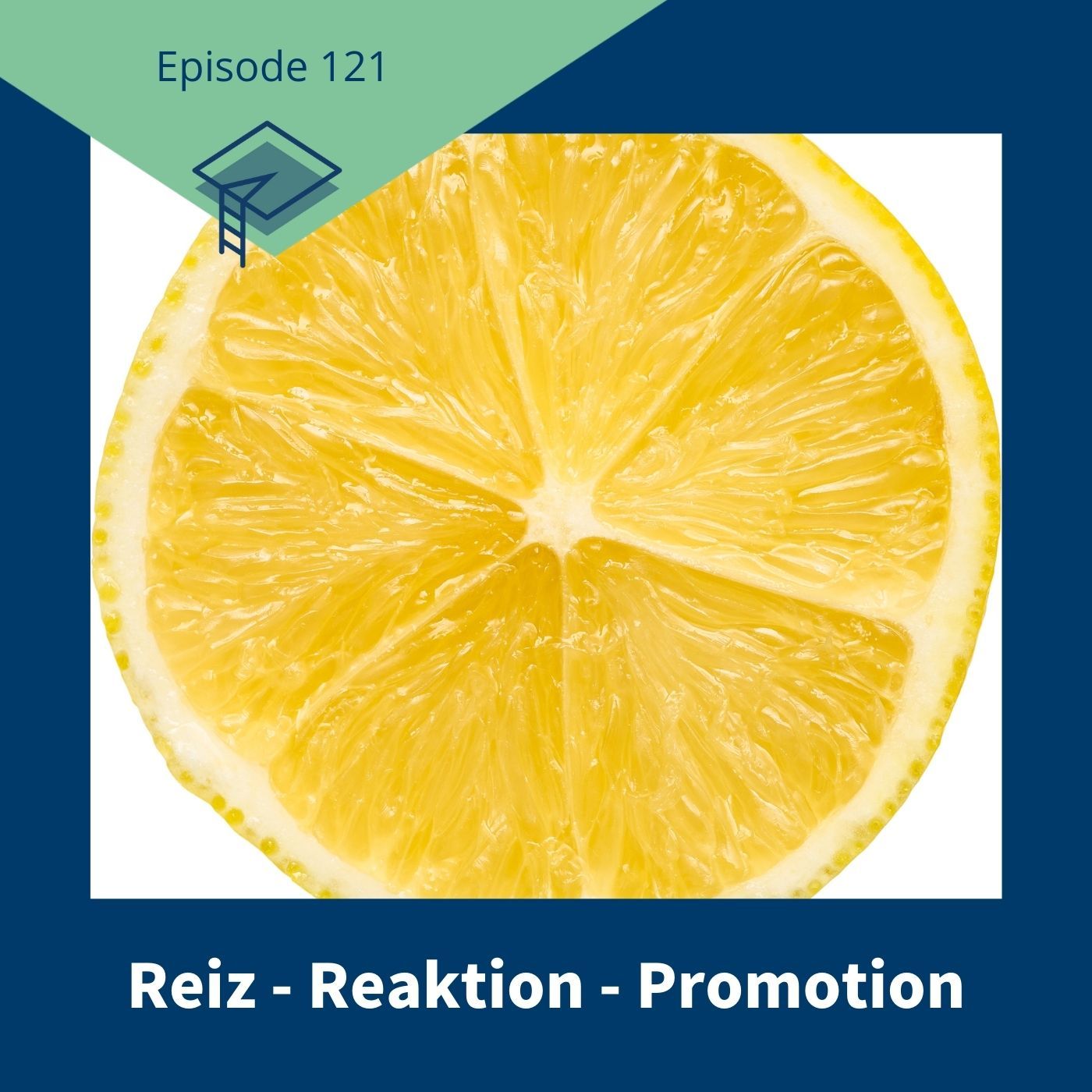 121_Reiz - Reaktion - Promotion