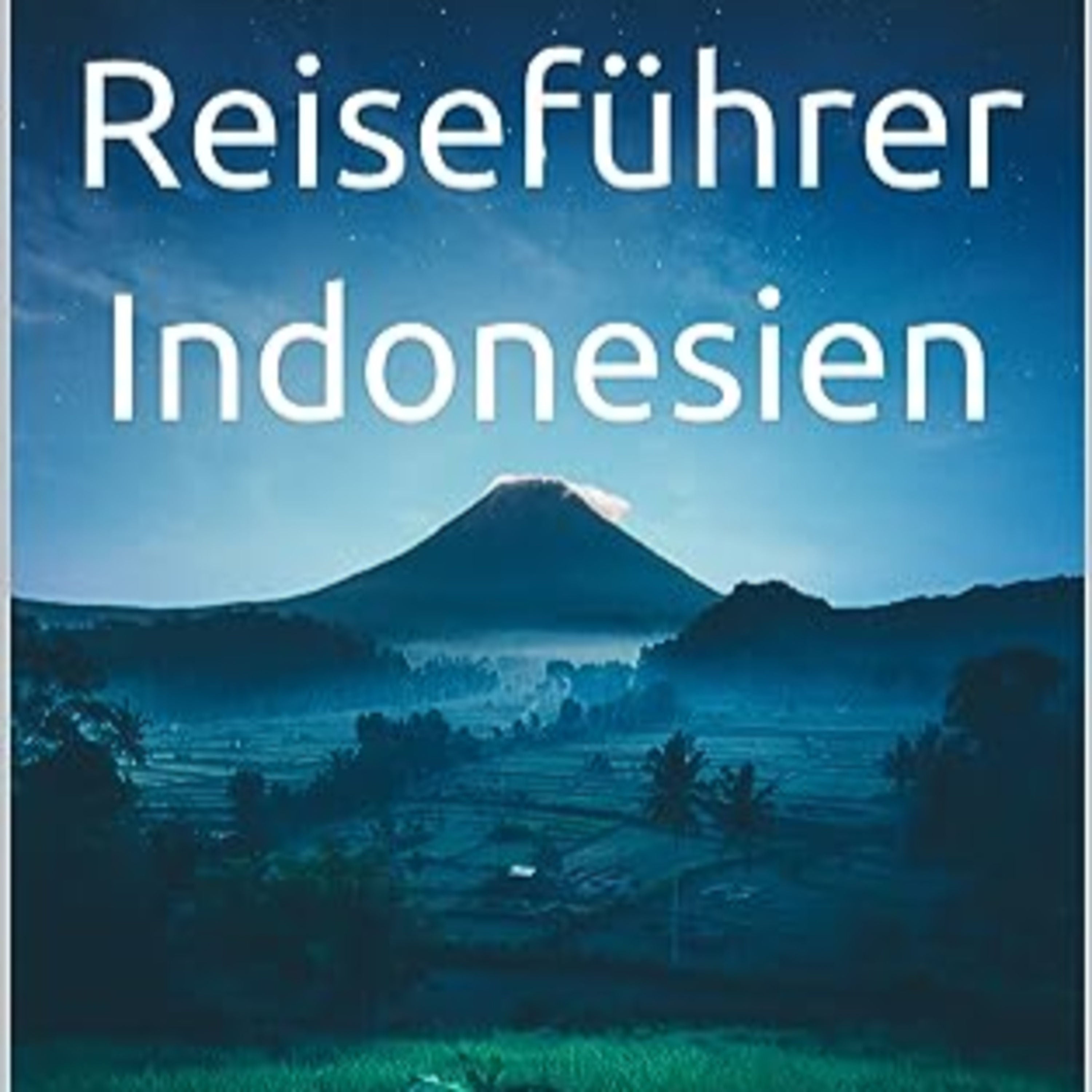 Reiseführer Indonesien
