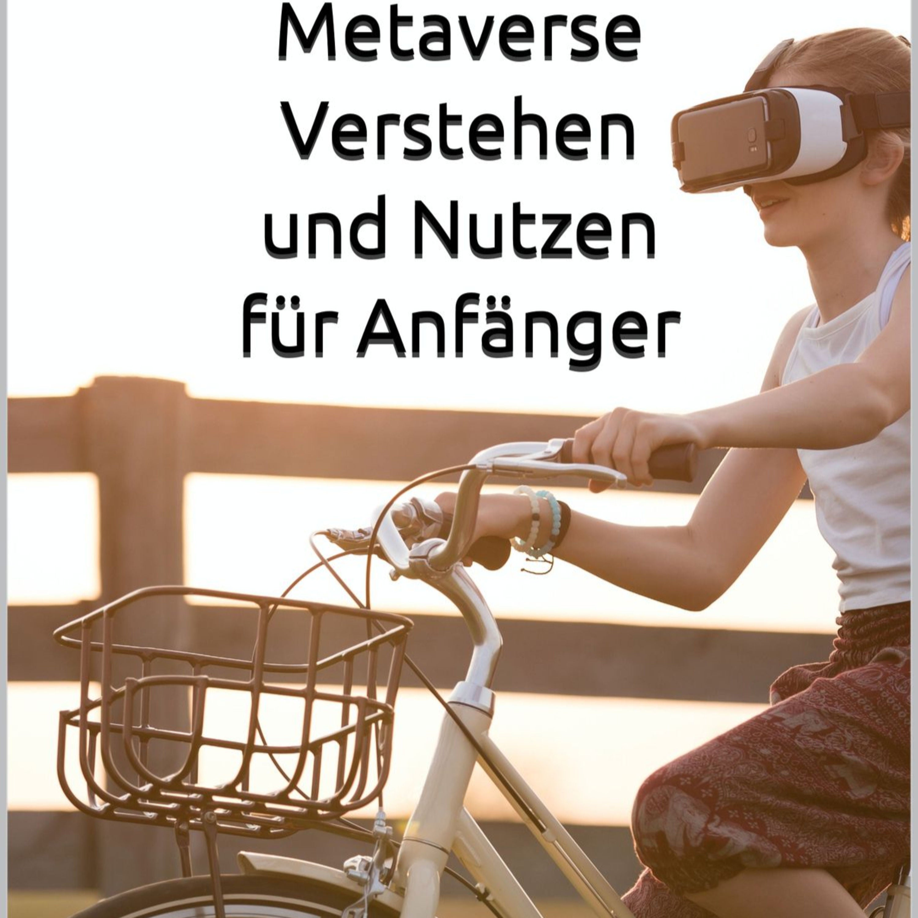 Metaverse Verstehen und Nutzen für Anfänger