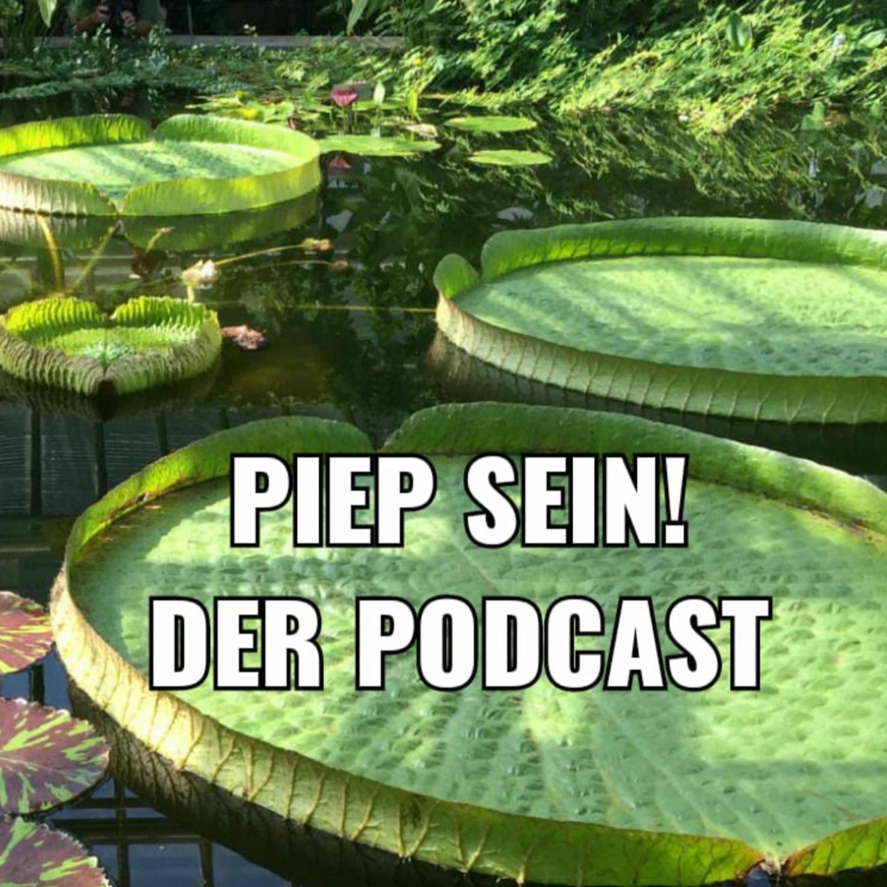 Die Große Dschungelshow #11 - Ey Digga!