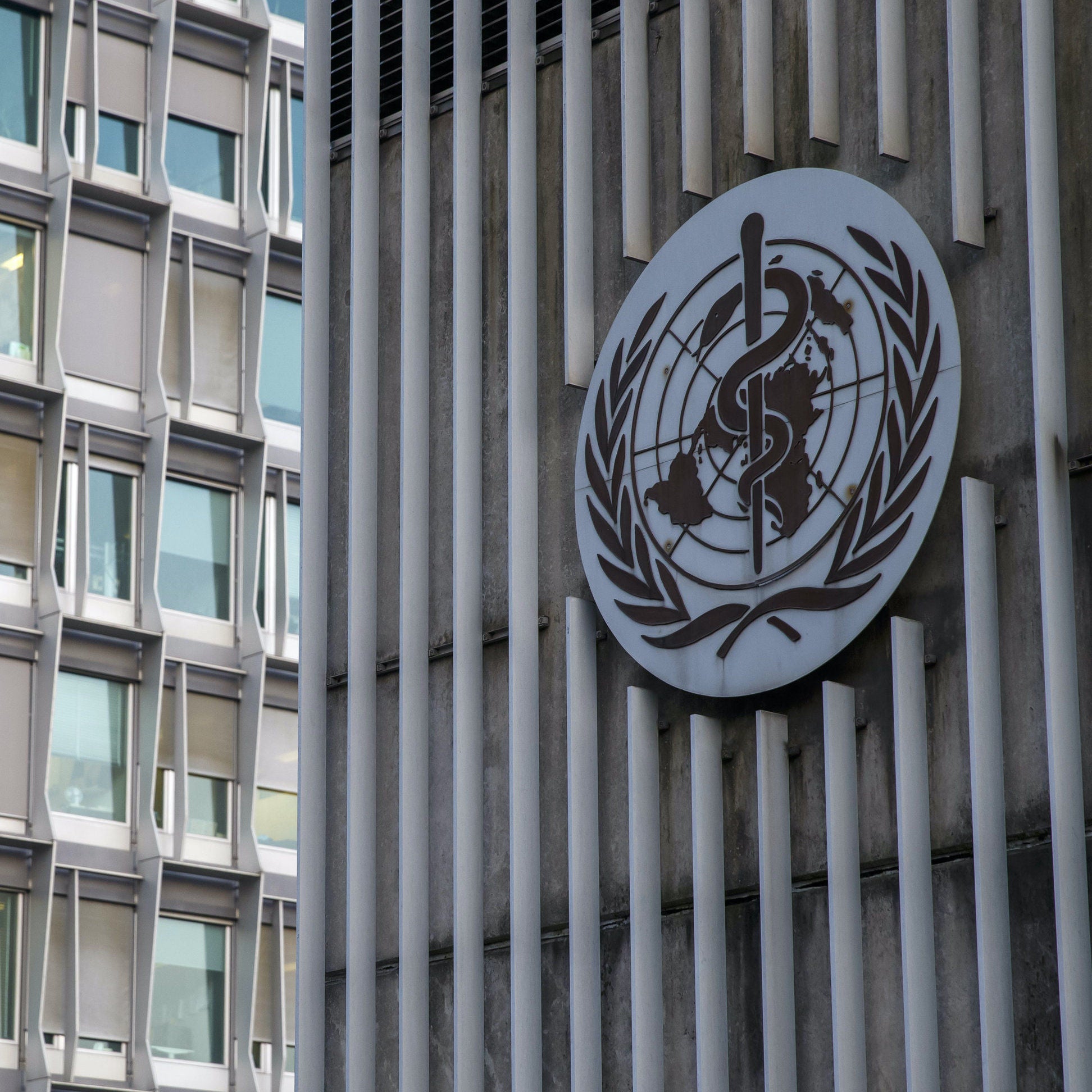 2019-nCoV: Was die "internationale Gesundheitsnotlage" bedeutet