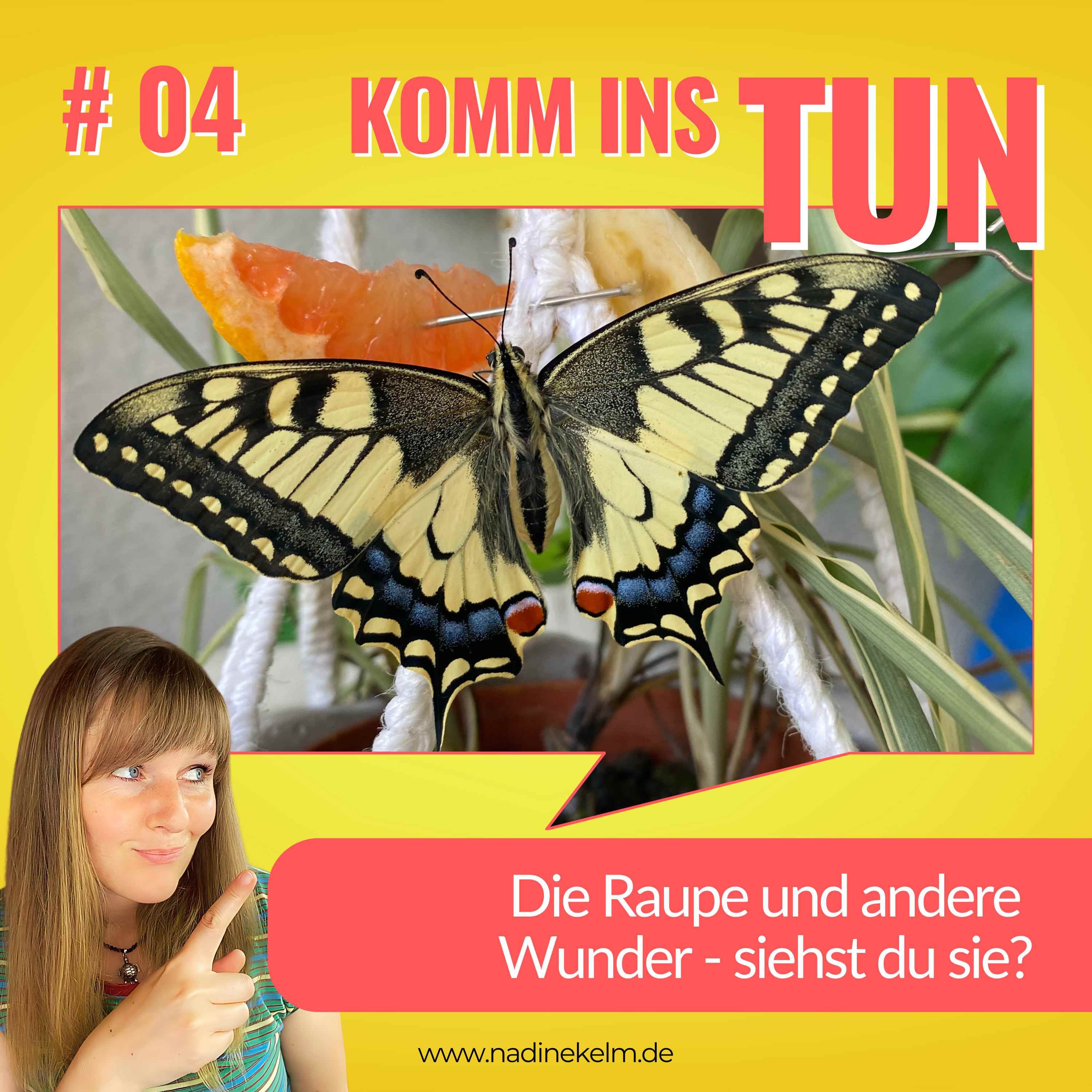 Die Raupe und andere Wunder - siehst du sie? #04
