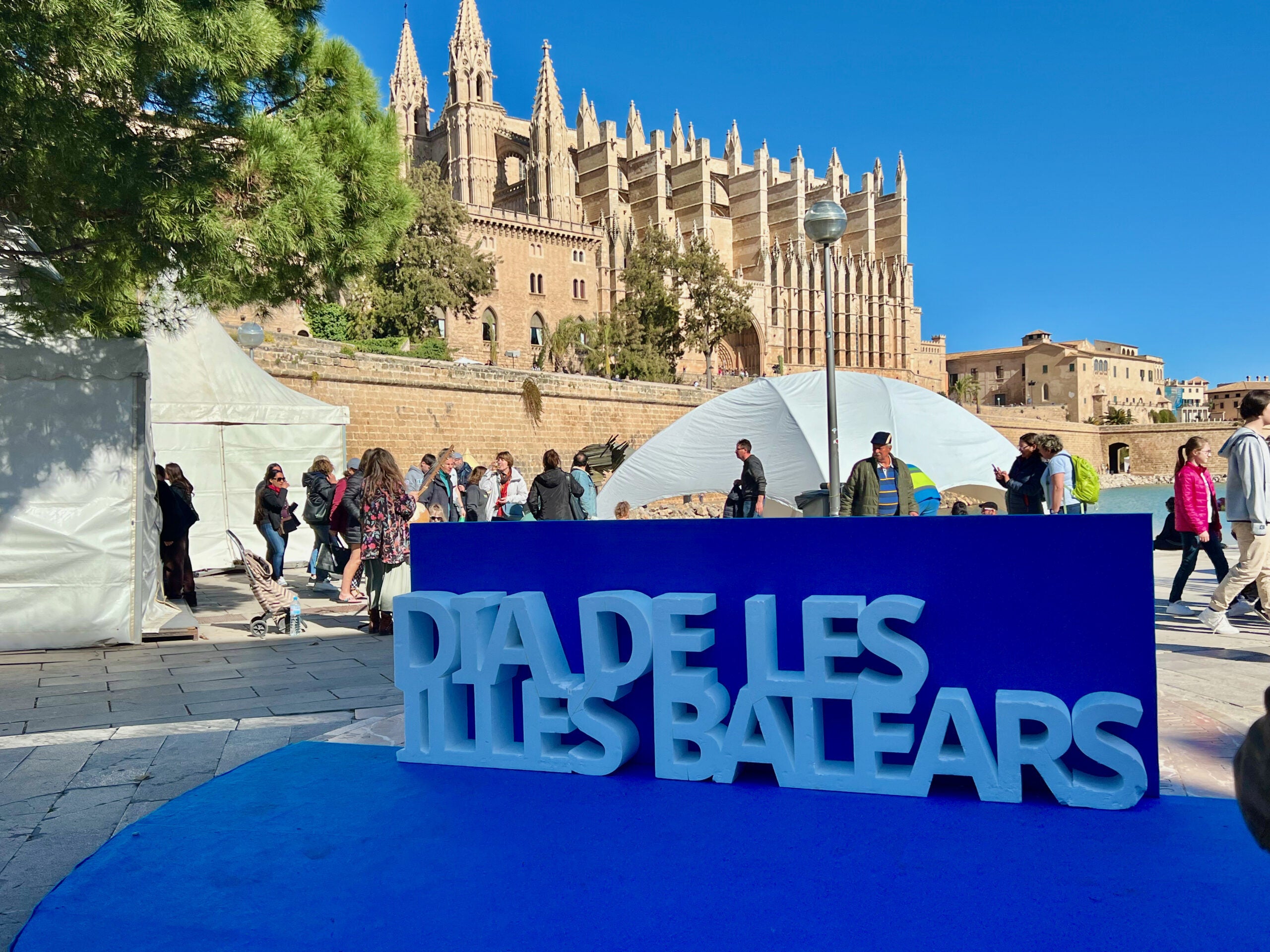 5 Minuten Mallorca | Nachrichten am 1. März 2025