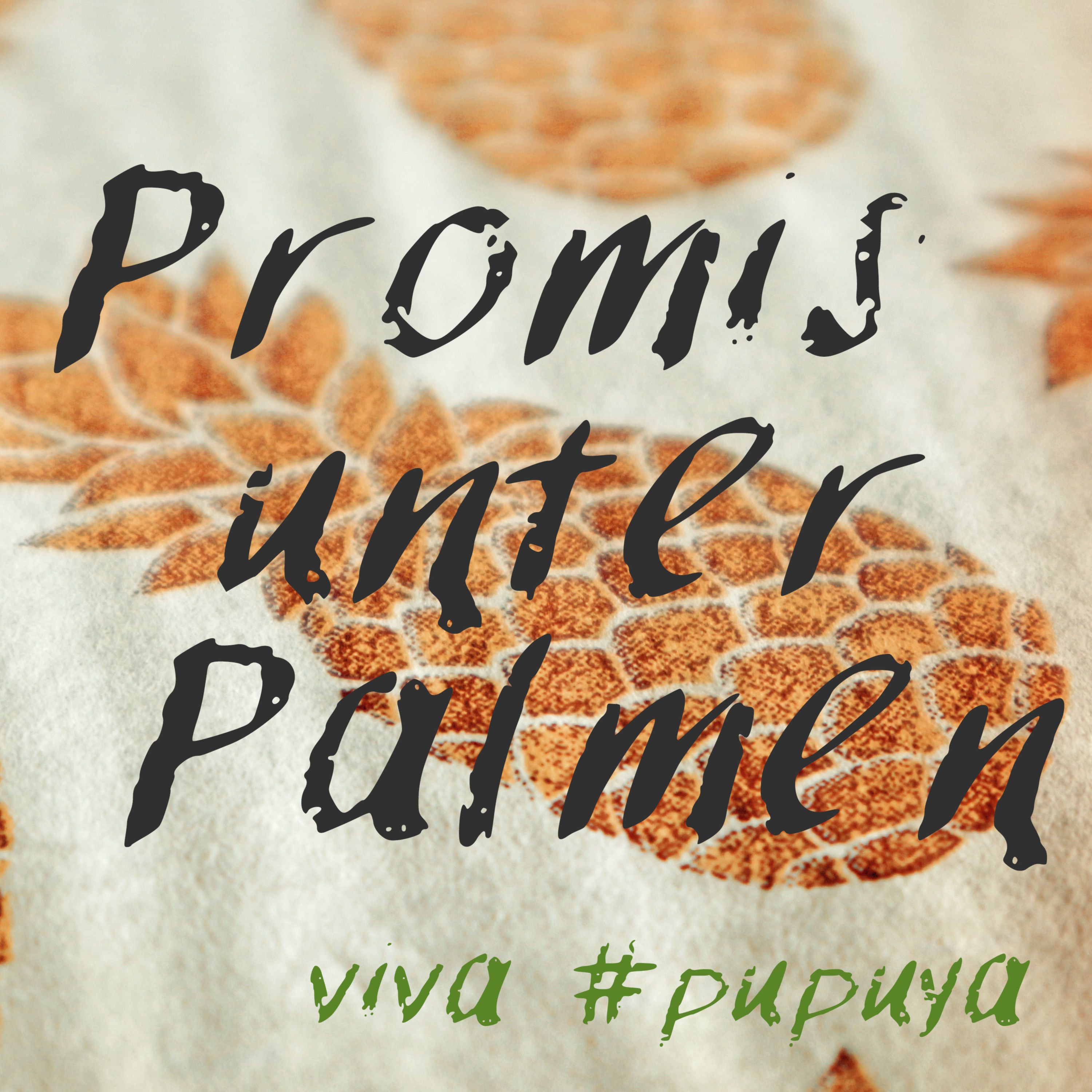 Promis unter Palmen #0 - KandidatInnen/Erwartungen-Check