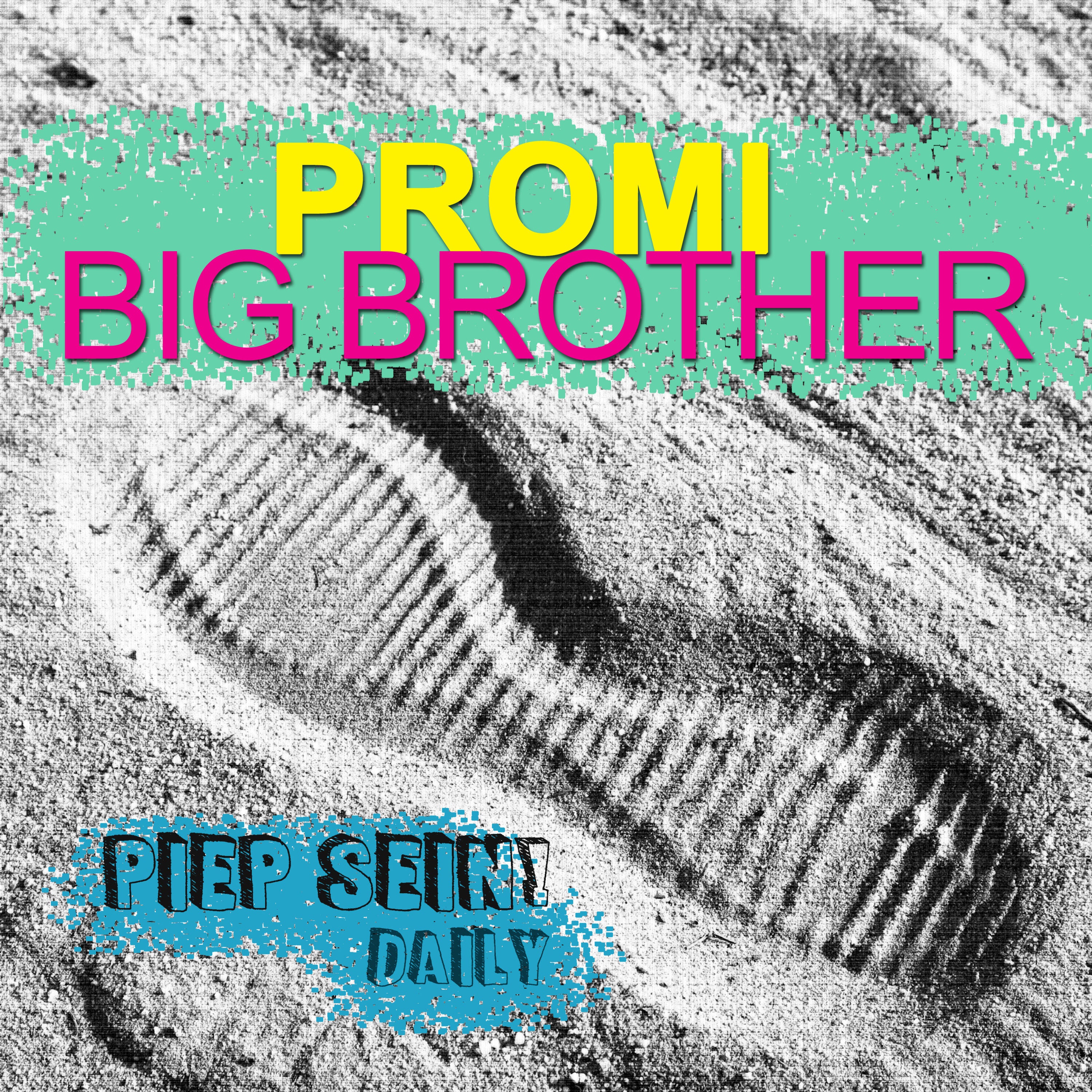 Promi Big Brother - Das große Fazit
