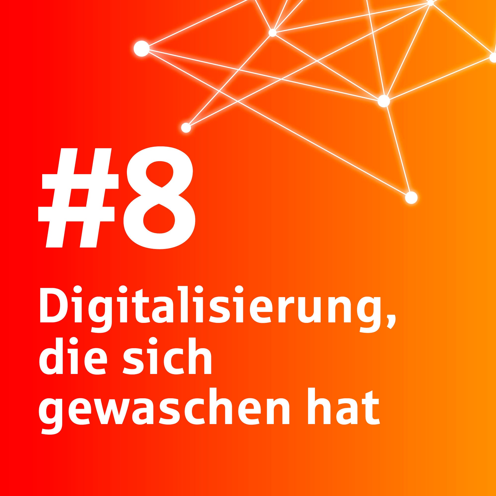 #8 Digitalisierung, die sich gewaschen hat (Mr. Wash)