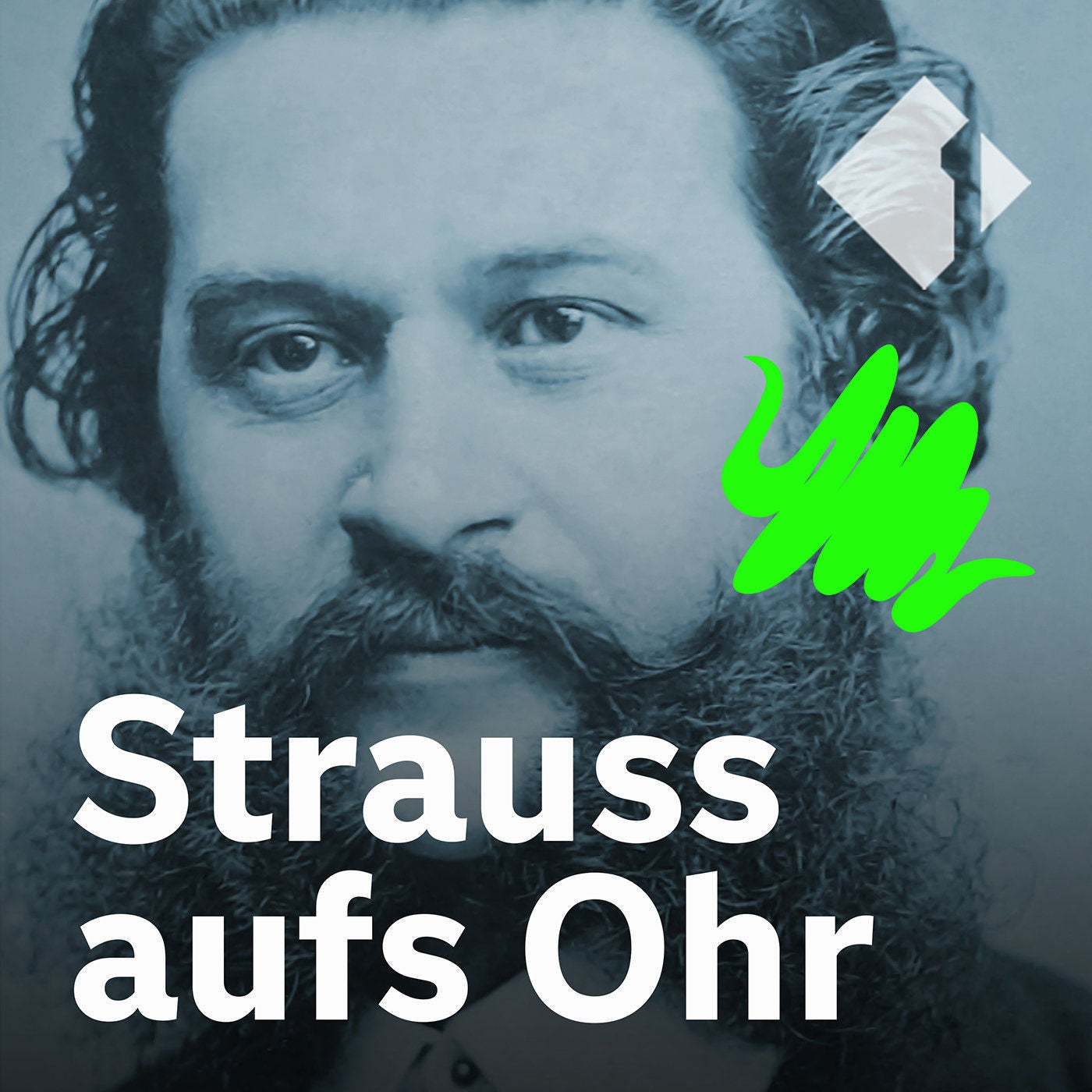 Strauss aufs Ohr - Victoria Coeln, Alireza Daryanavard