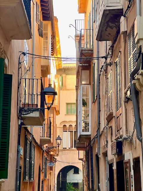 5 Minuten Mallorca | Nachrichten am 17. Dezember 2021