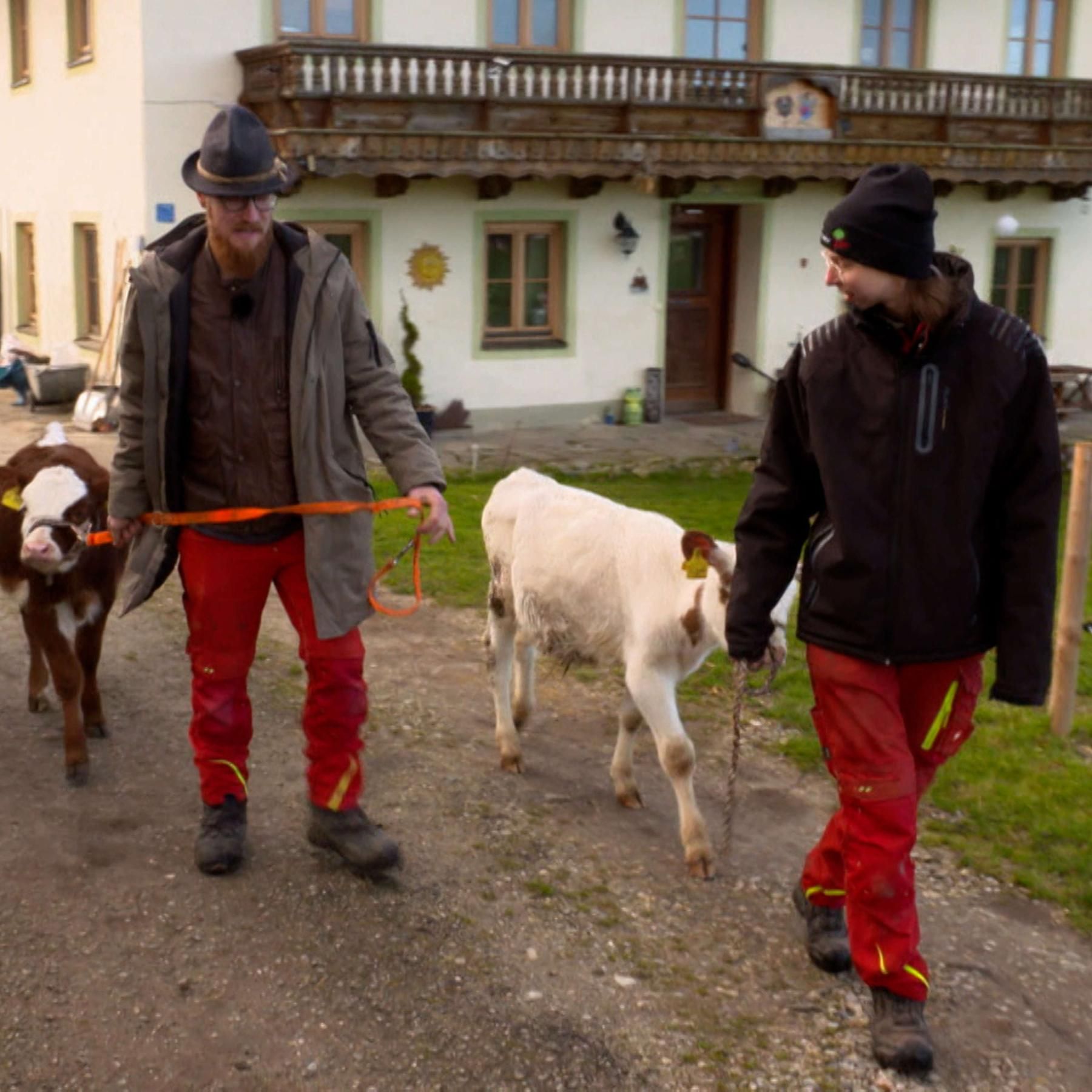 Entgegen dem Trend: Bauernhof-Neustart