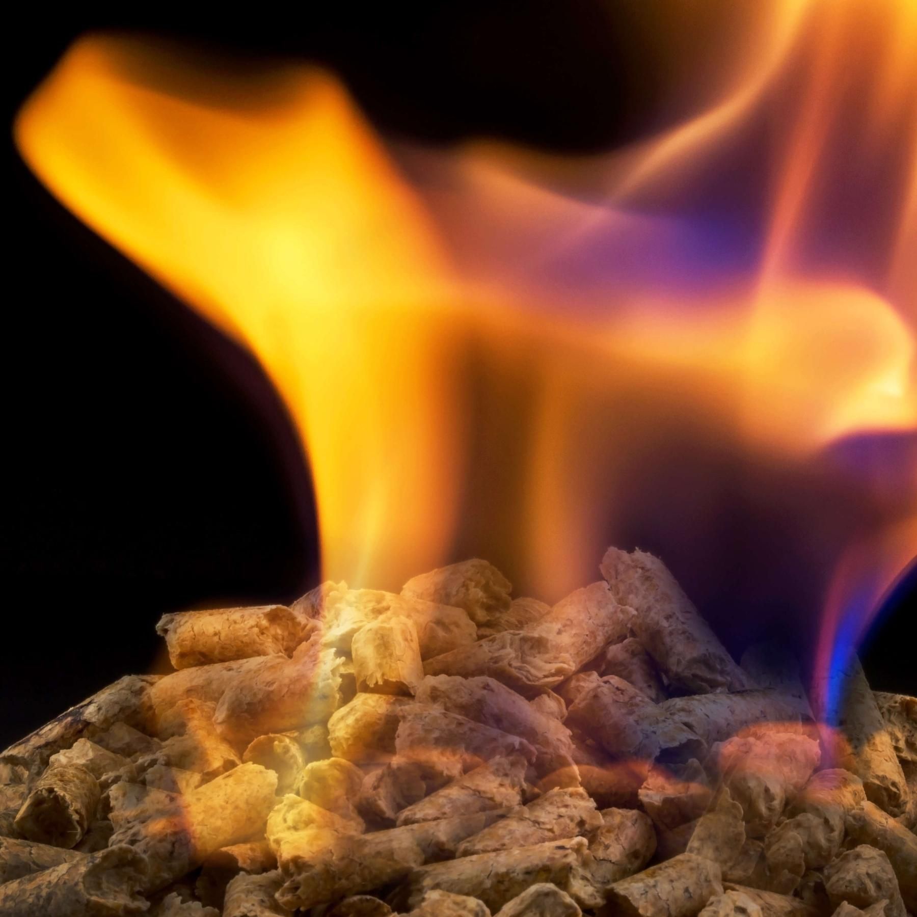 Verheizte Wälder - das große Geschäft mit Brennholz und Pellets