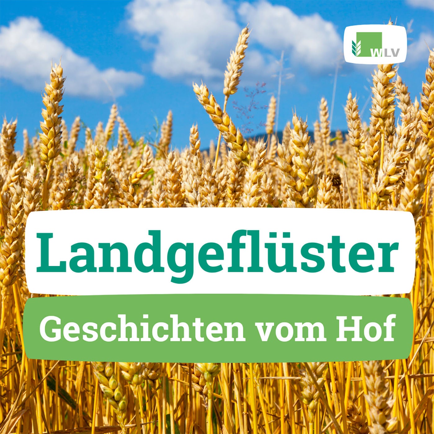 Wir läuten das internationale Jahr der Bäuerin ein - Landgeflüster mit Hille aus dem Sauerland