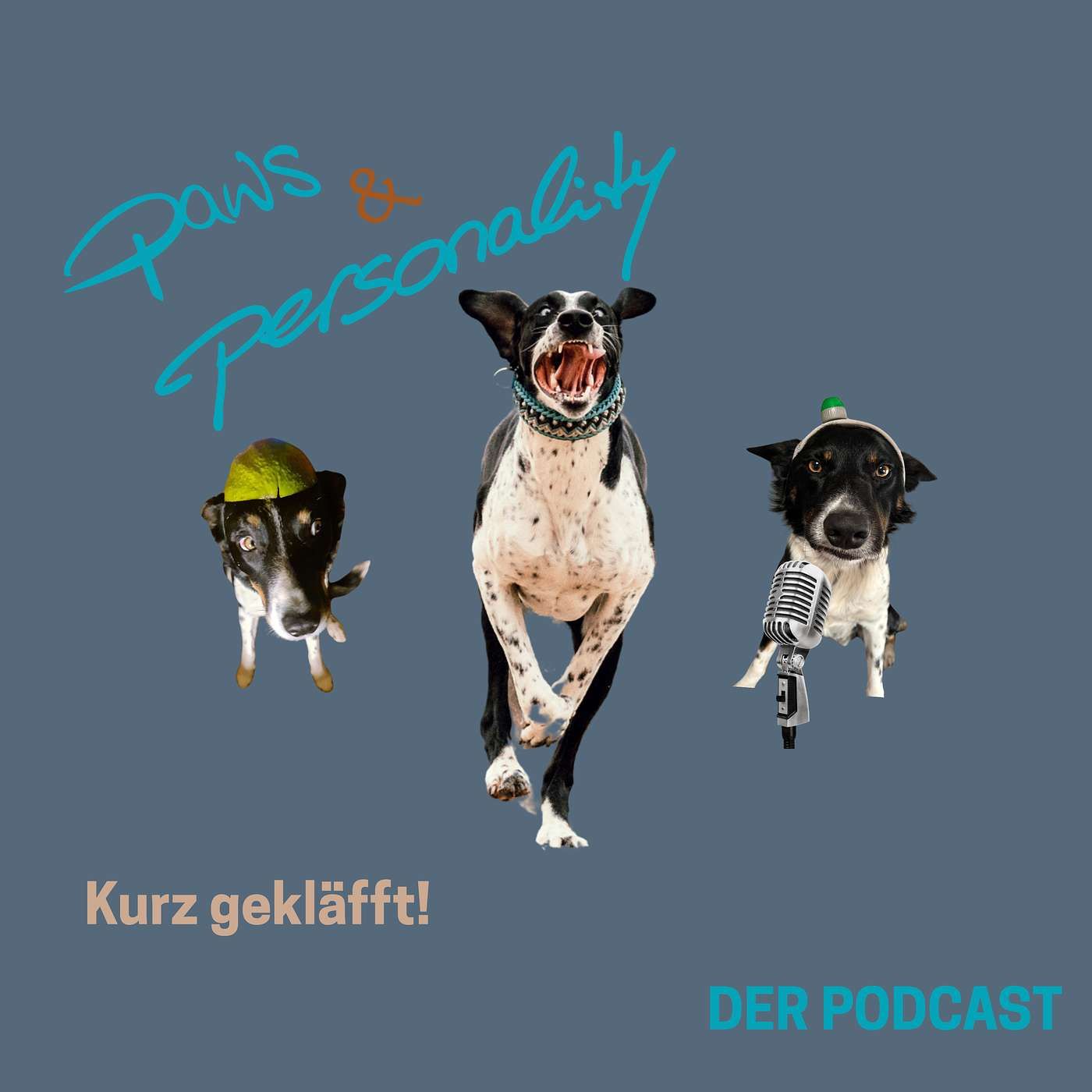 Kurz gekläfft - Über eine Gassiservice-Begegnung