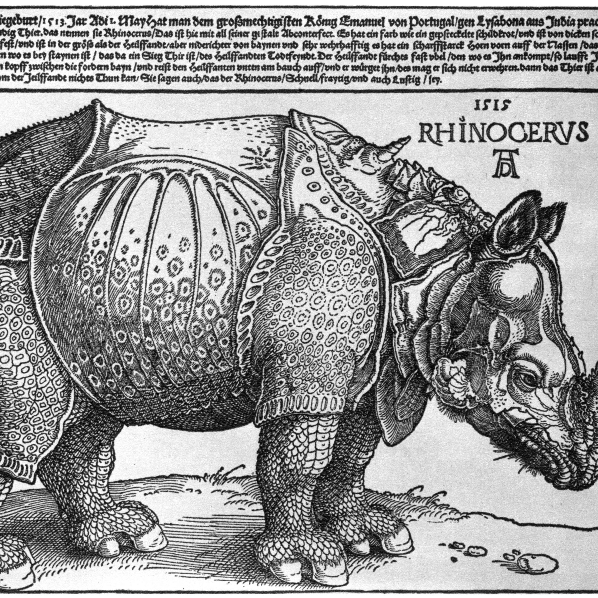 20.05.1515: Im Hafen von Lissabon kommt ein Panzernashorn an